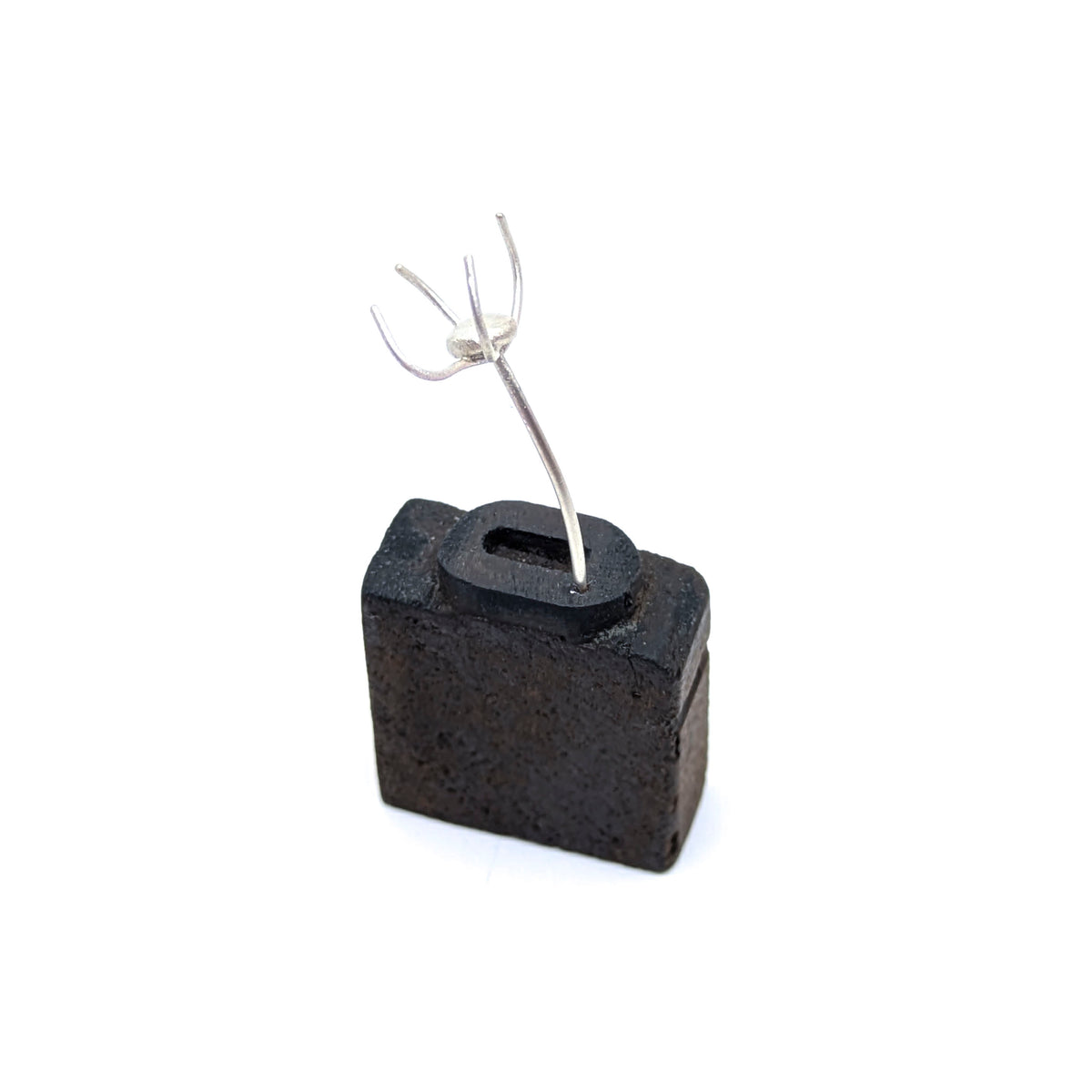 Miniature Plant Sculpture- Diaphanous (39)