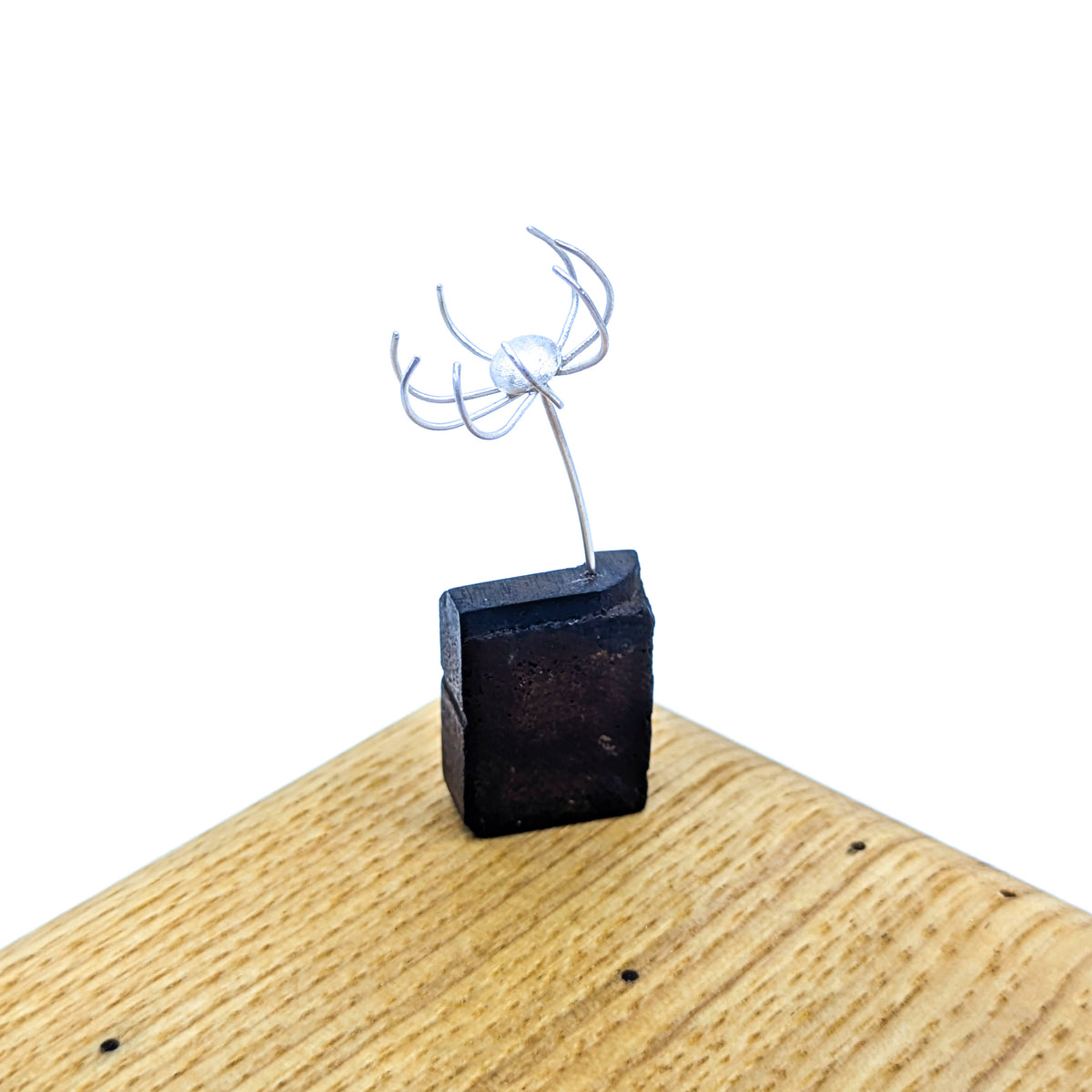Miniature Plant Sculpture- Diaphanous (39a)