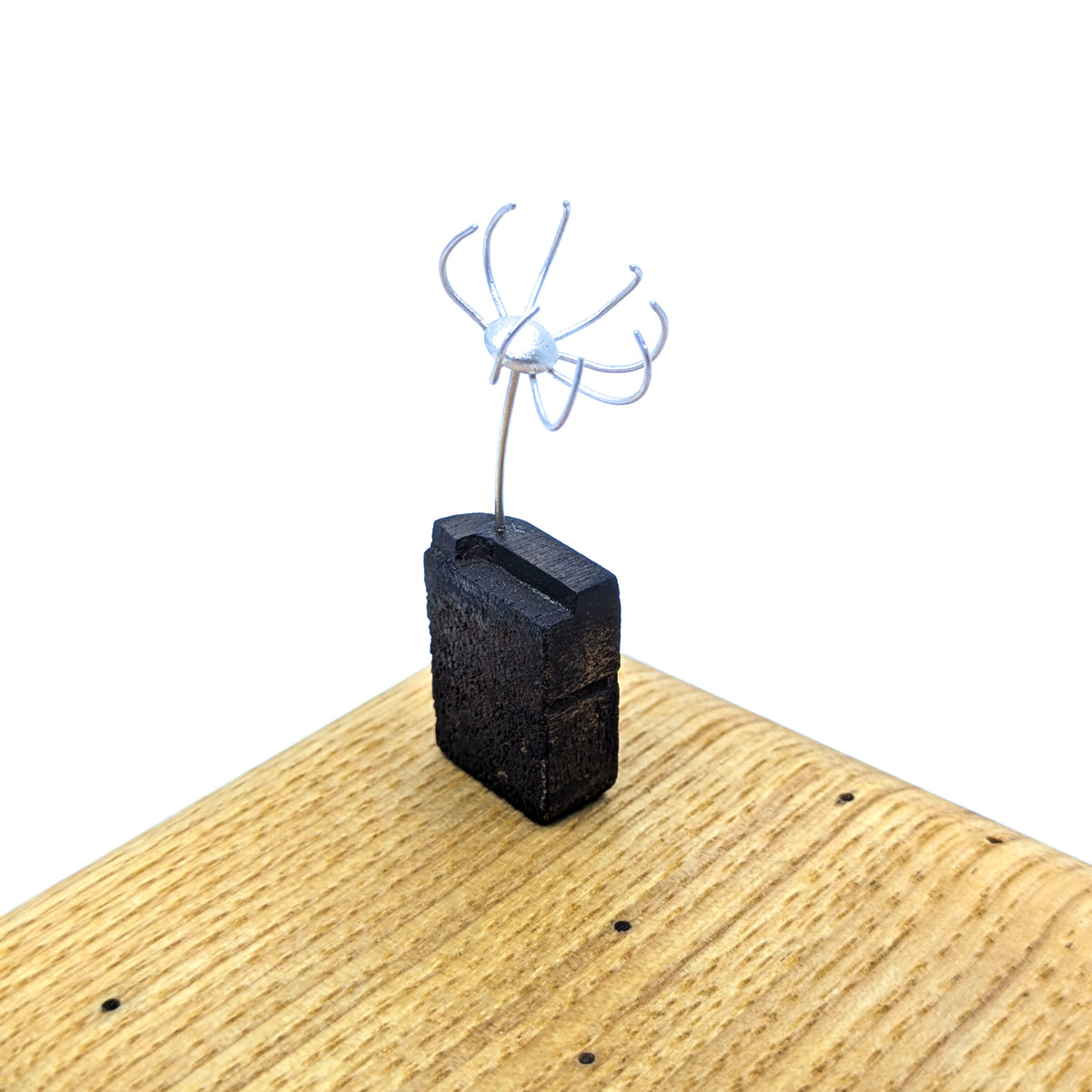 Miniature Plant Sculpture- Diaphanous (39a)