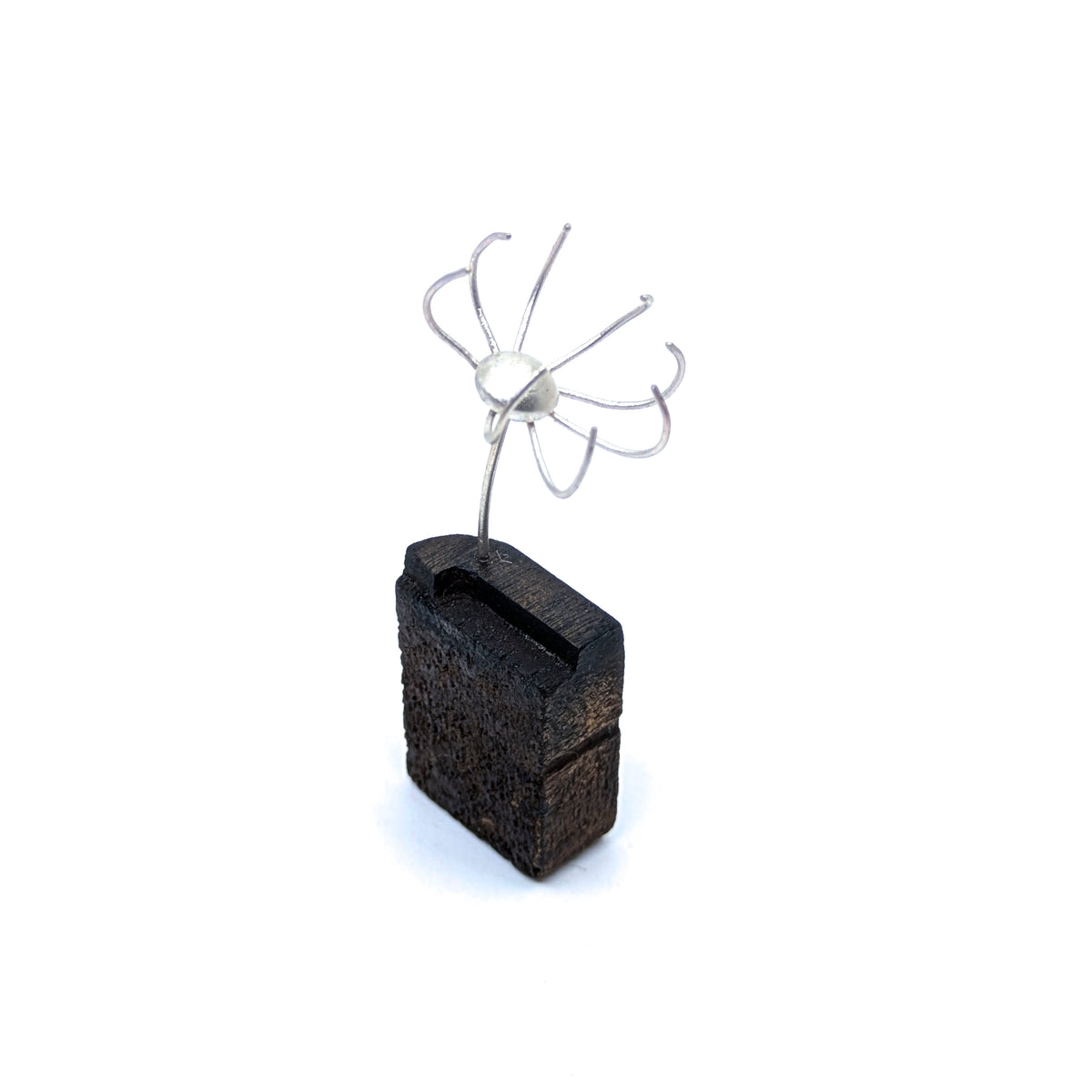 Miniature Plant Sculpture- Diaphanous (39a)