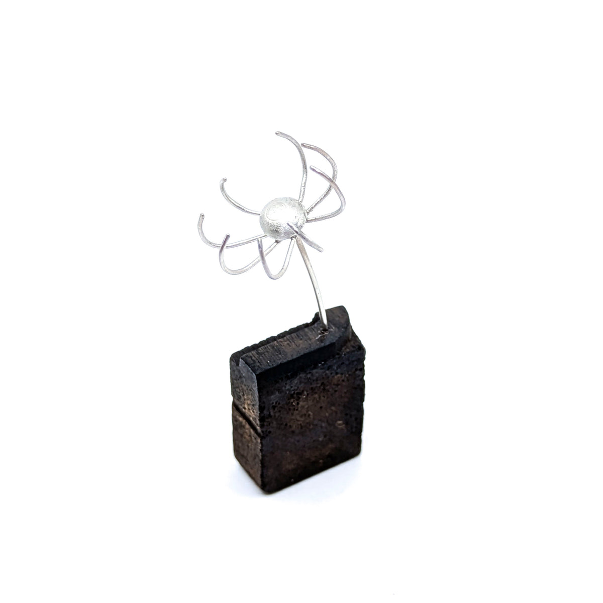 Miniature Plant Sculpture- Diaphanous (39a)
