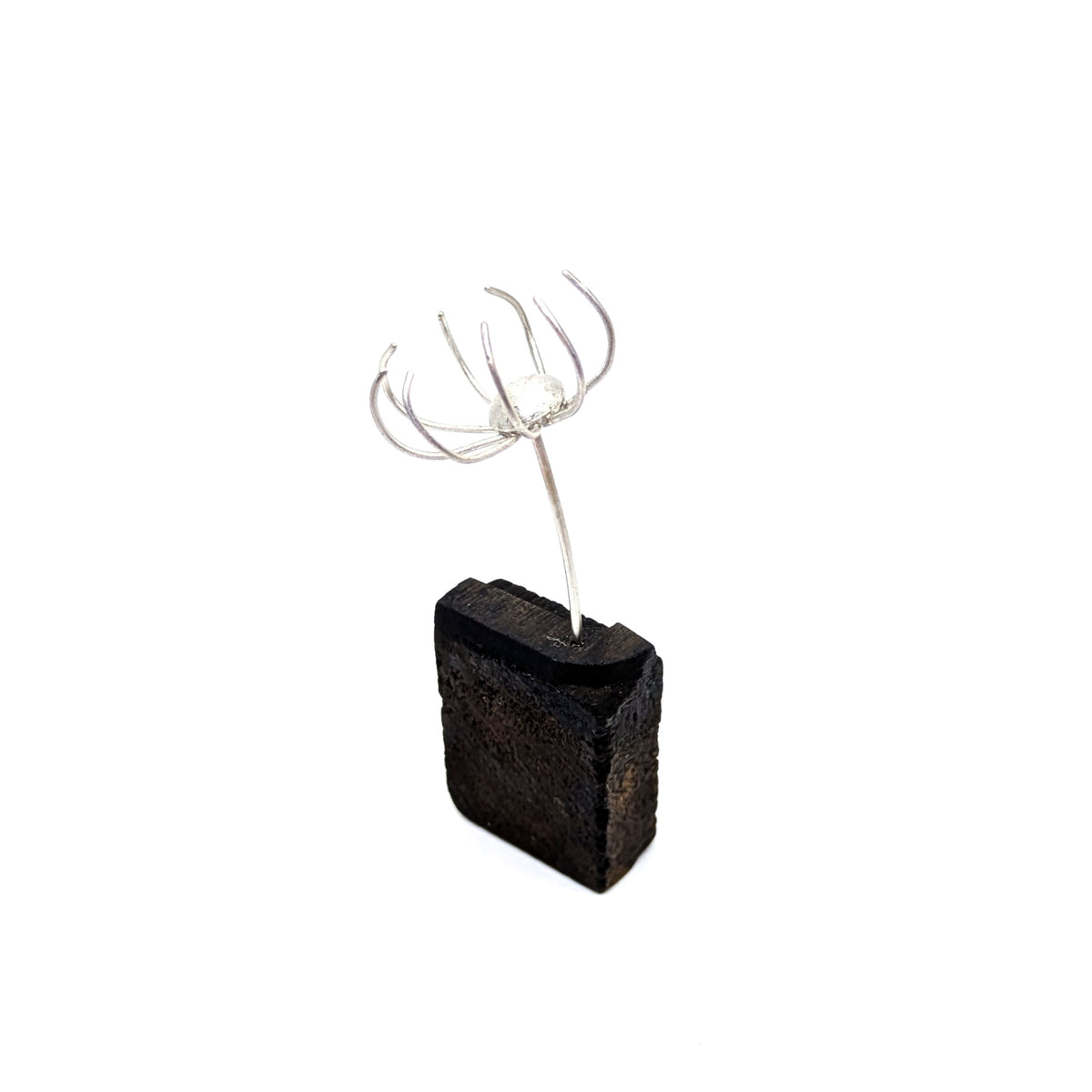 Miniature Plant Sculpture- Diaphanous (39a)