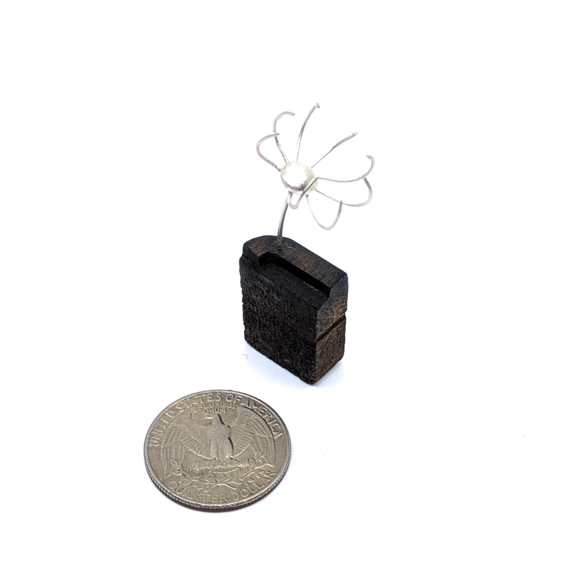 Miniature Plant Sculpture- Diaphanous (39a)