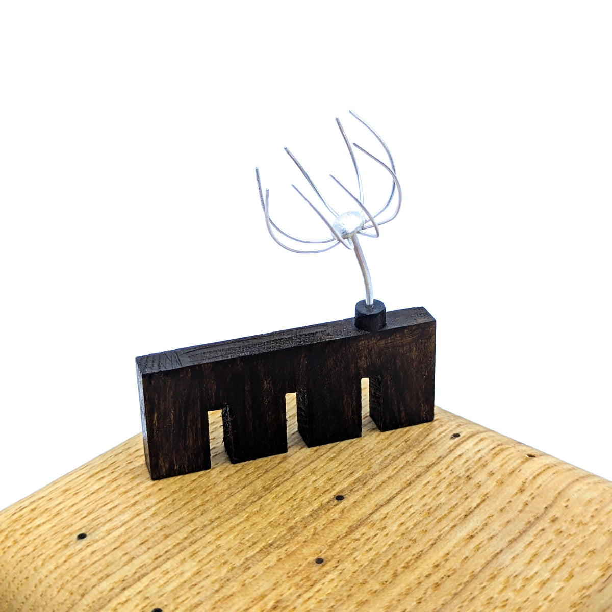 Miniature Plant Sculpture- Diaphanous (39b)