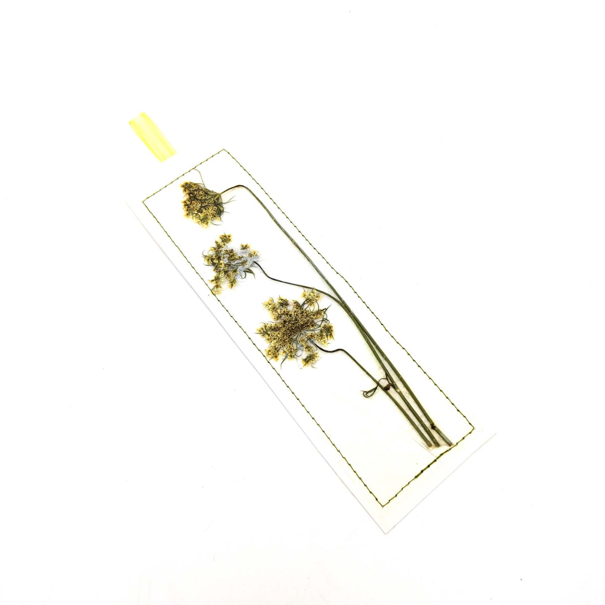 Susan Smoot - Pressed Flowers & Leaves Bookmarks - Style 8 - VISUAL INDEX