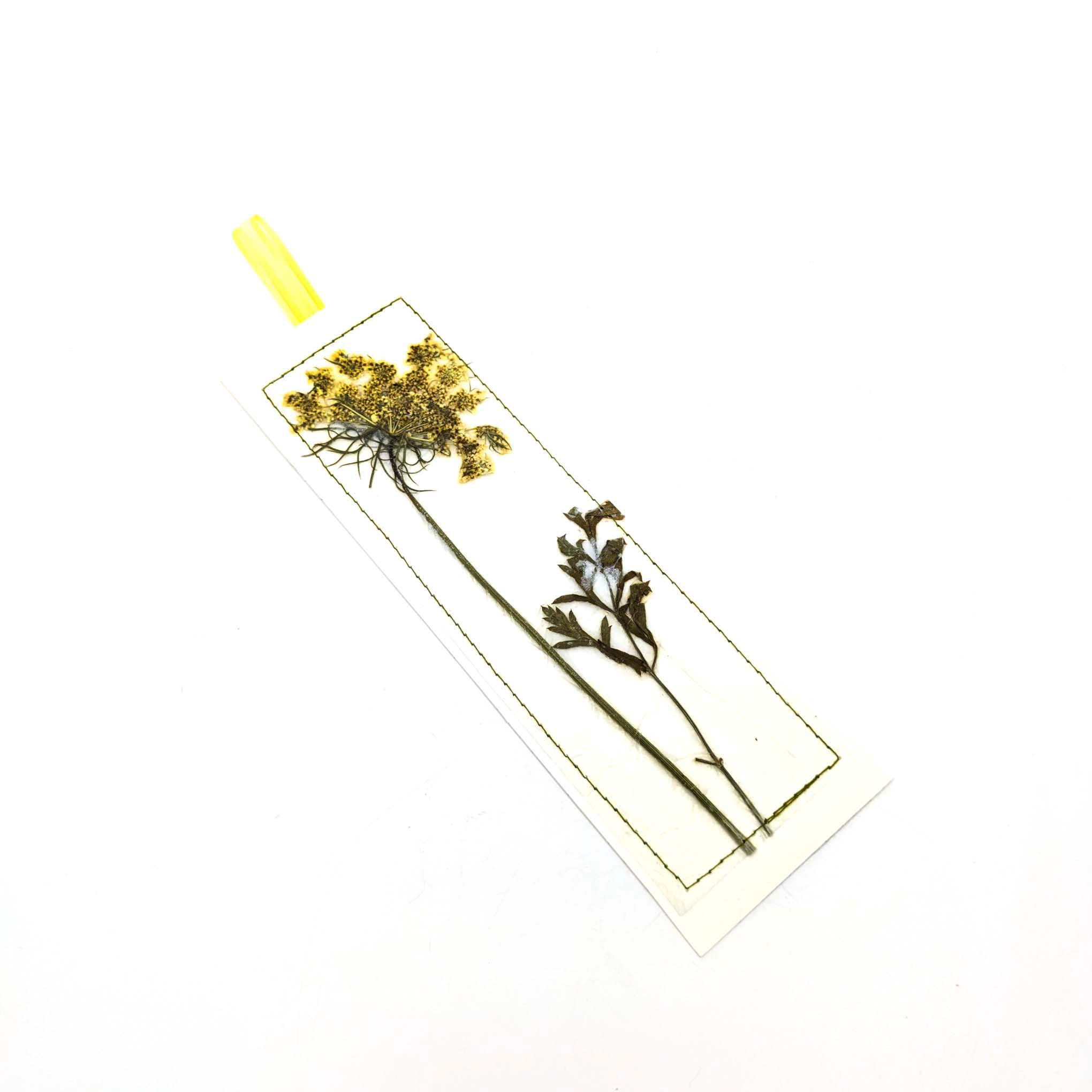 Pressed Flowers & Leaves Bookmarks