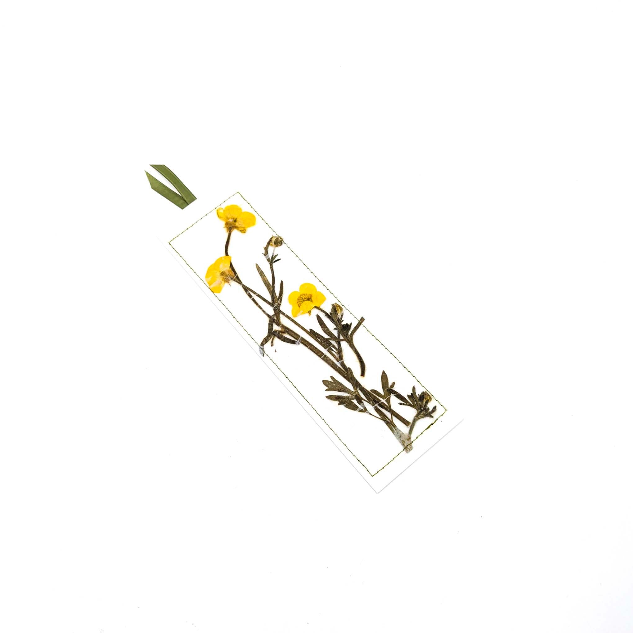 Pressed Flowers & Leaves Bookmarks