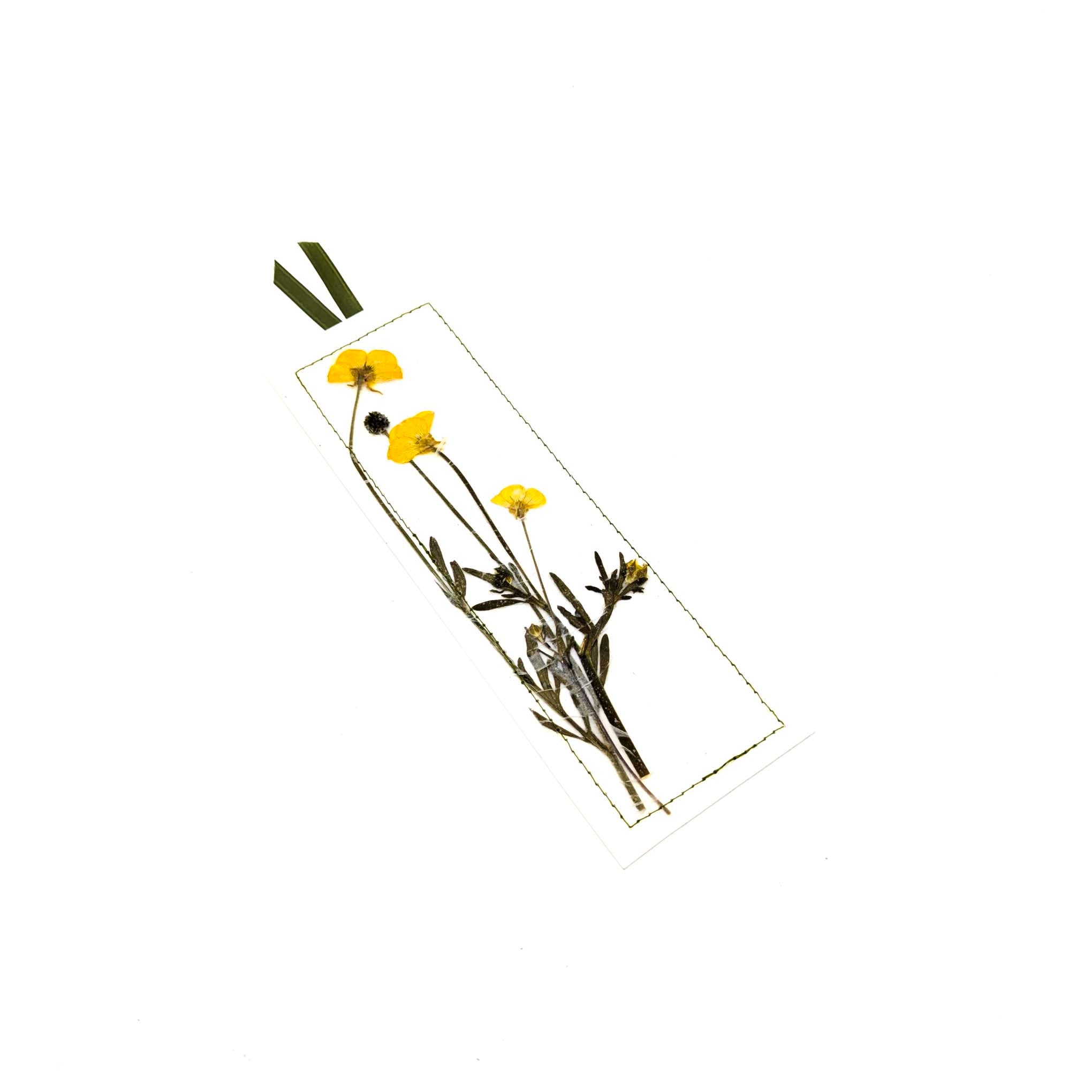 Pressed Flowers & Leaves Bookmarks