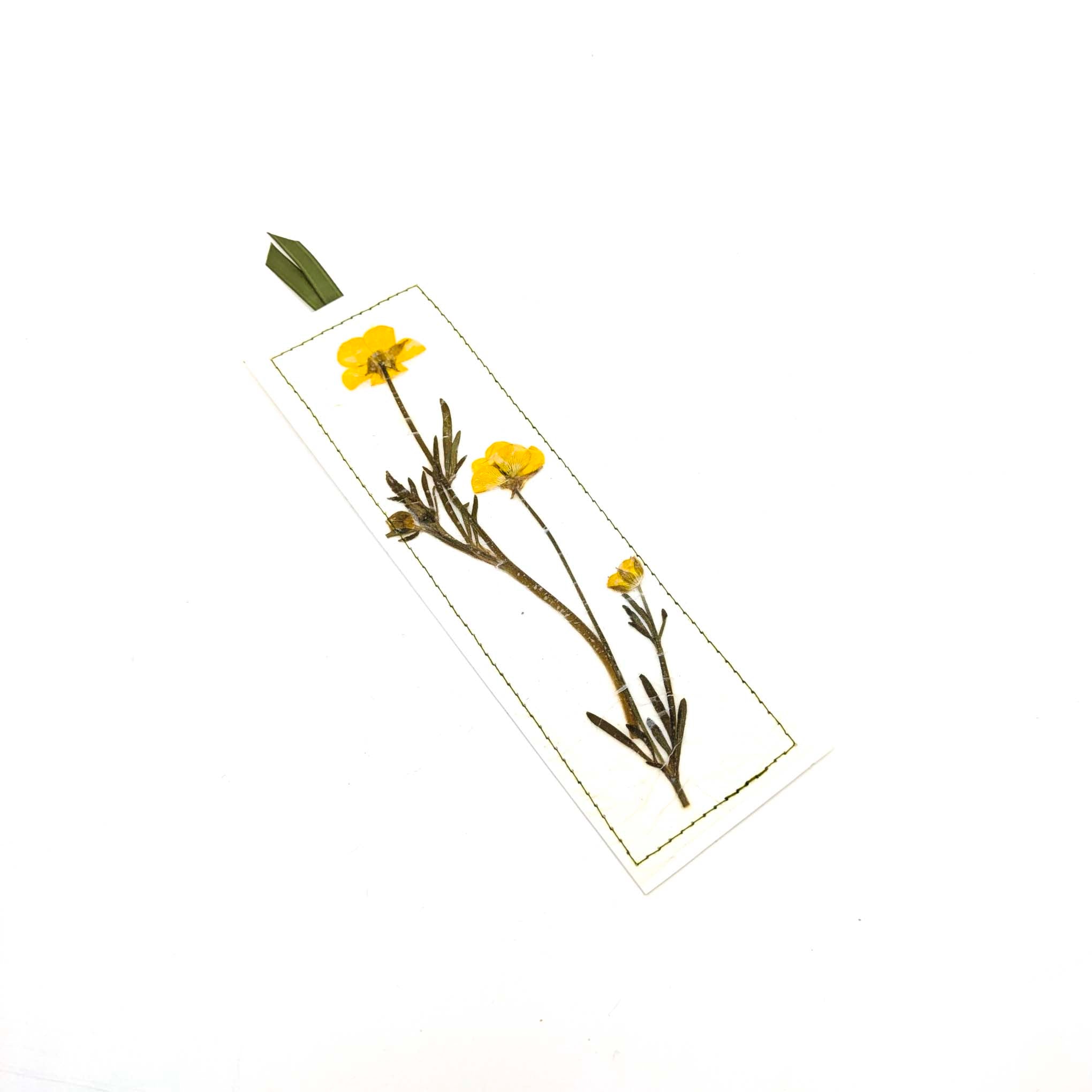 Pressed Flowers & Leaves Bookmarks
