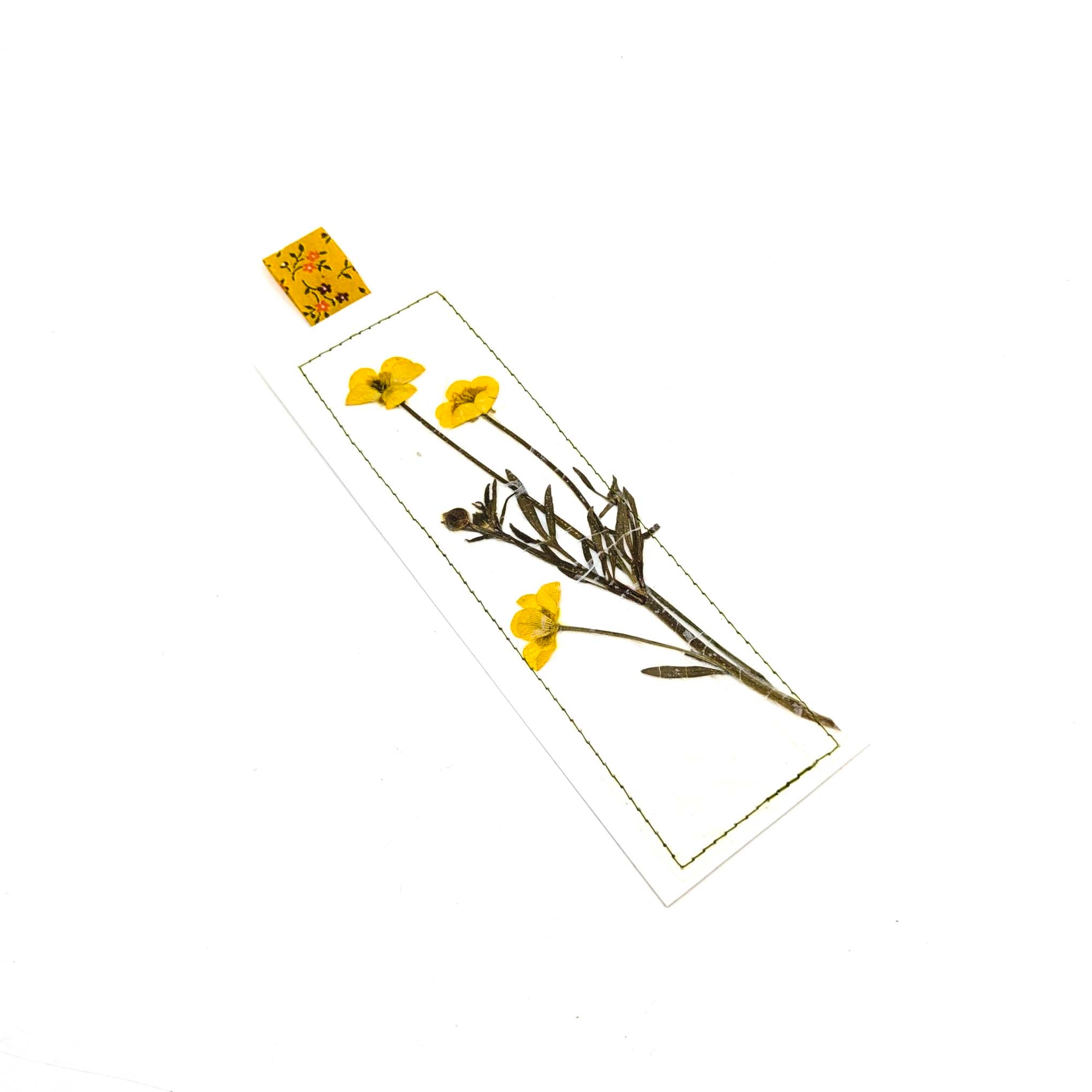 Pressed Flowers & Leaves Bookmarks
