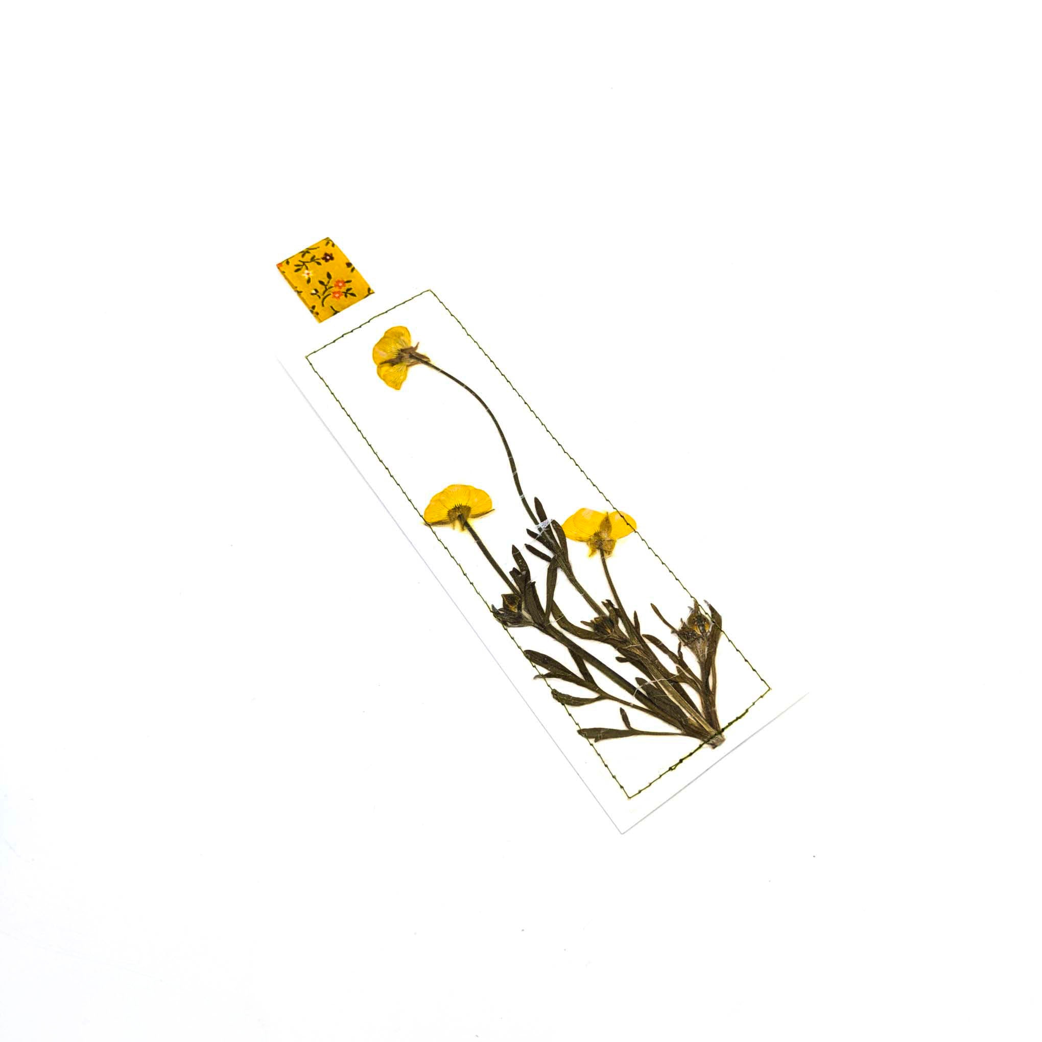 Pressed Flowers & Leaves Bookmarks