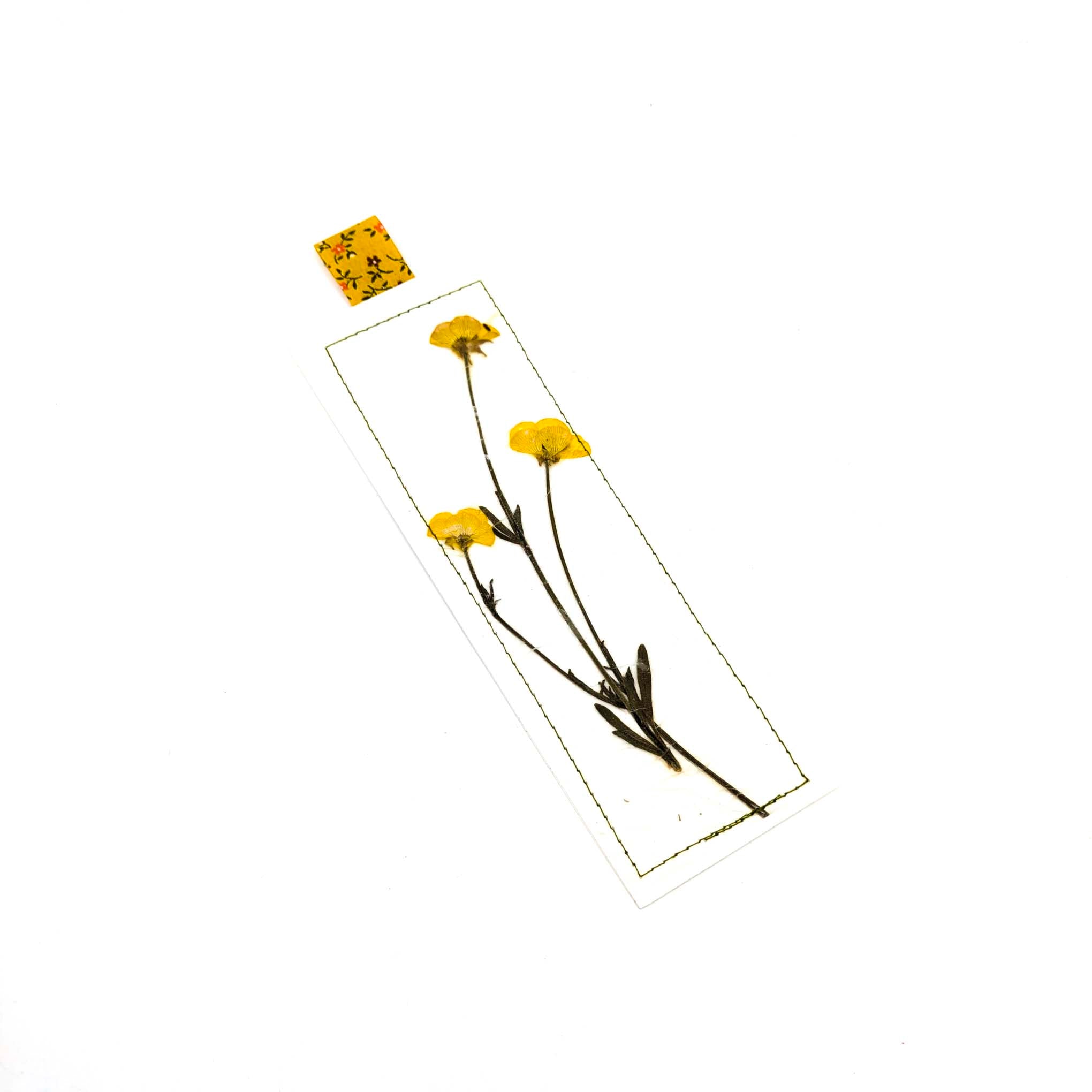 Pressed Flowers & Leaves Bookmarks
