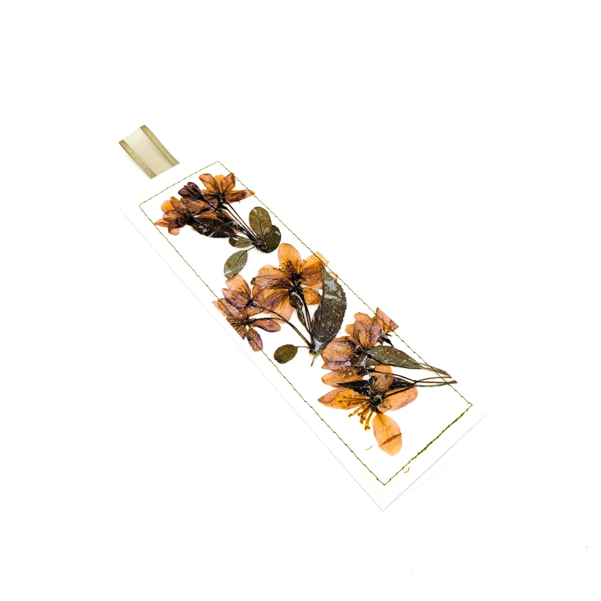 Pressed Flowers & Leaves Bookmarks