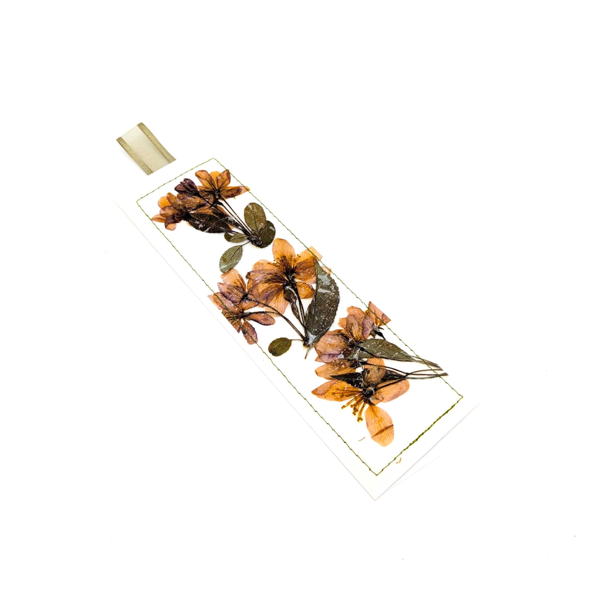 Pressed Flowers & Leaves Bookmarks