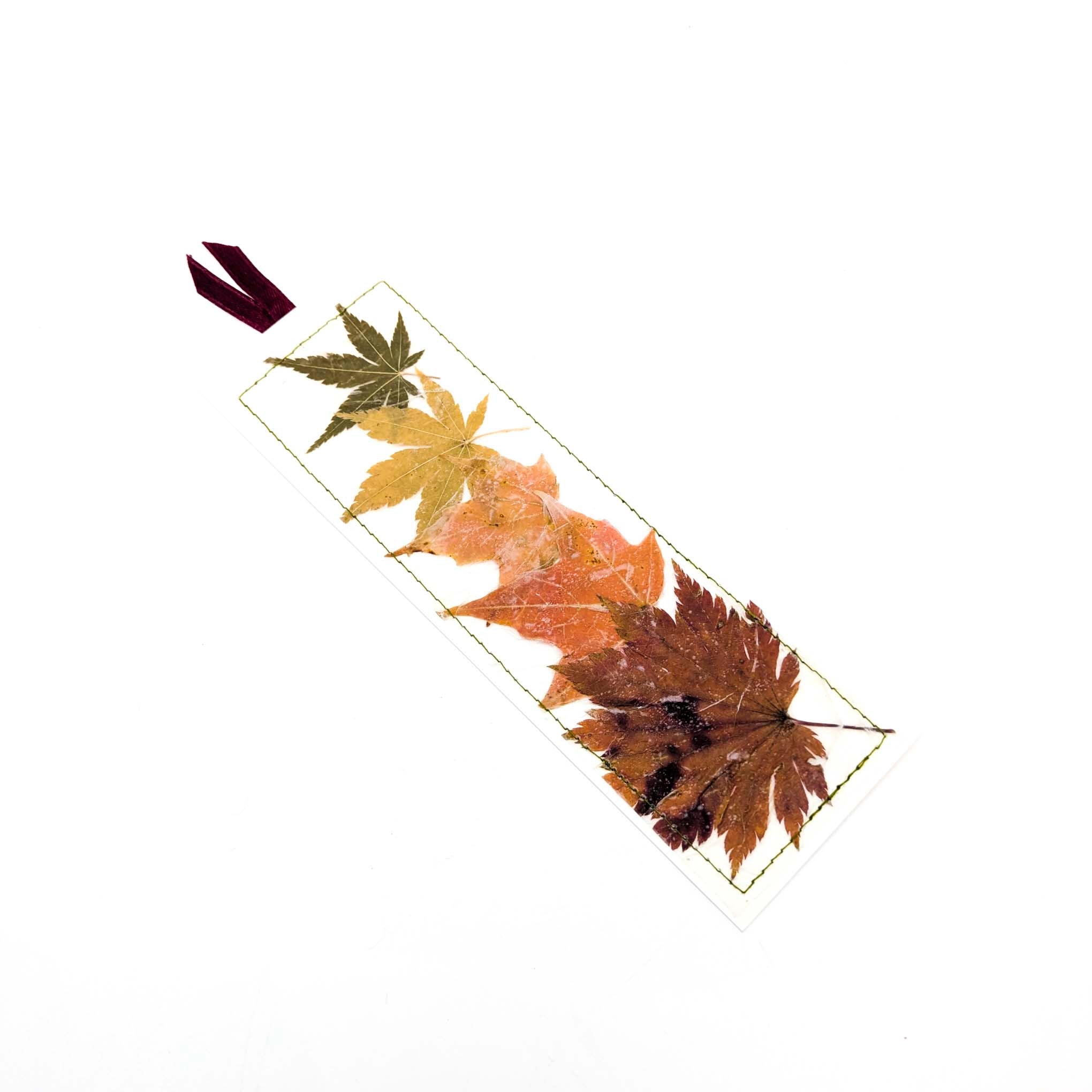 Pressed Flowers & Leaves Bookmarks