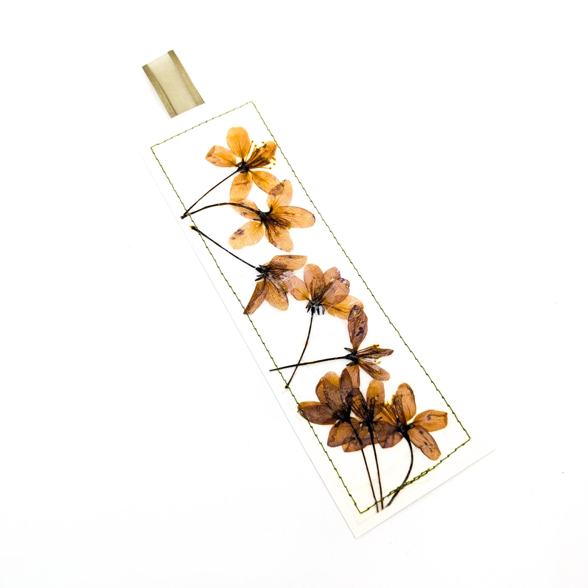 Pressed Flowers & Leaves Bookmarks