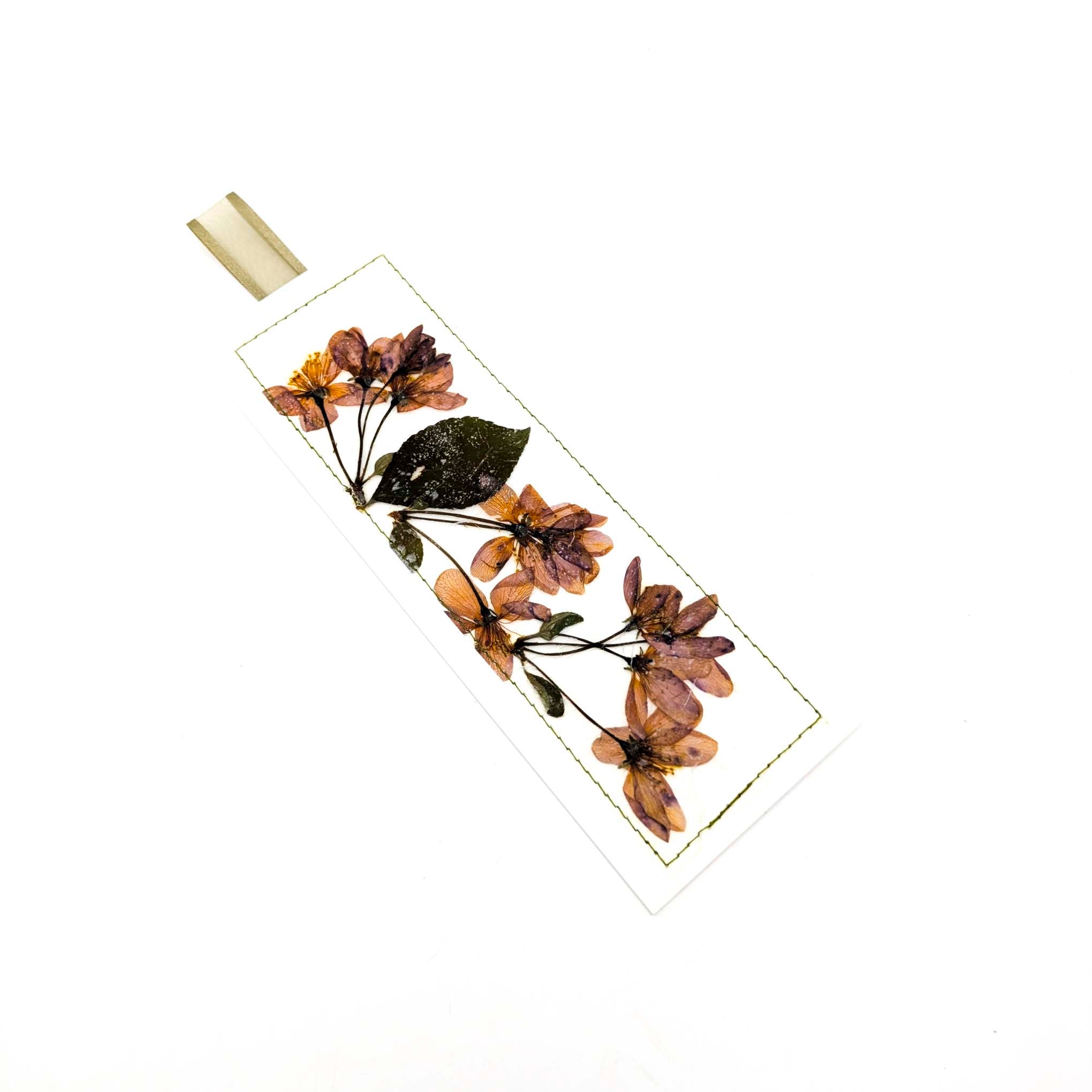 Pressed Flowers & Leaves Bookmarks
