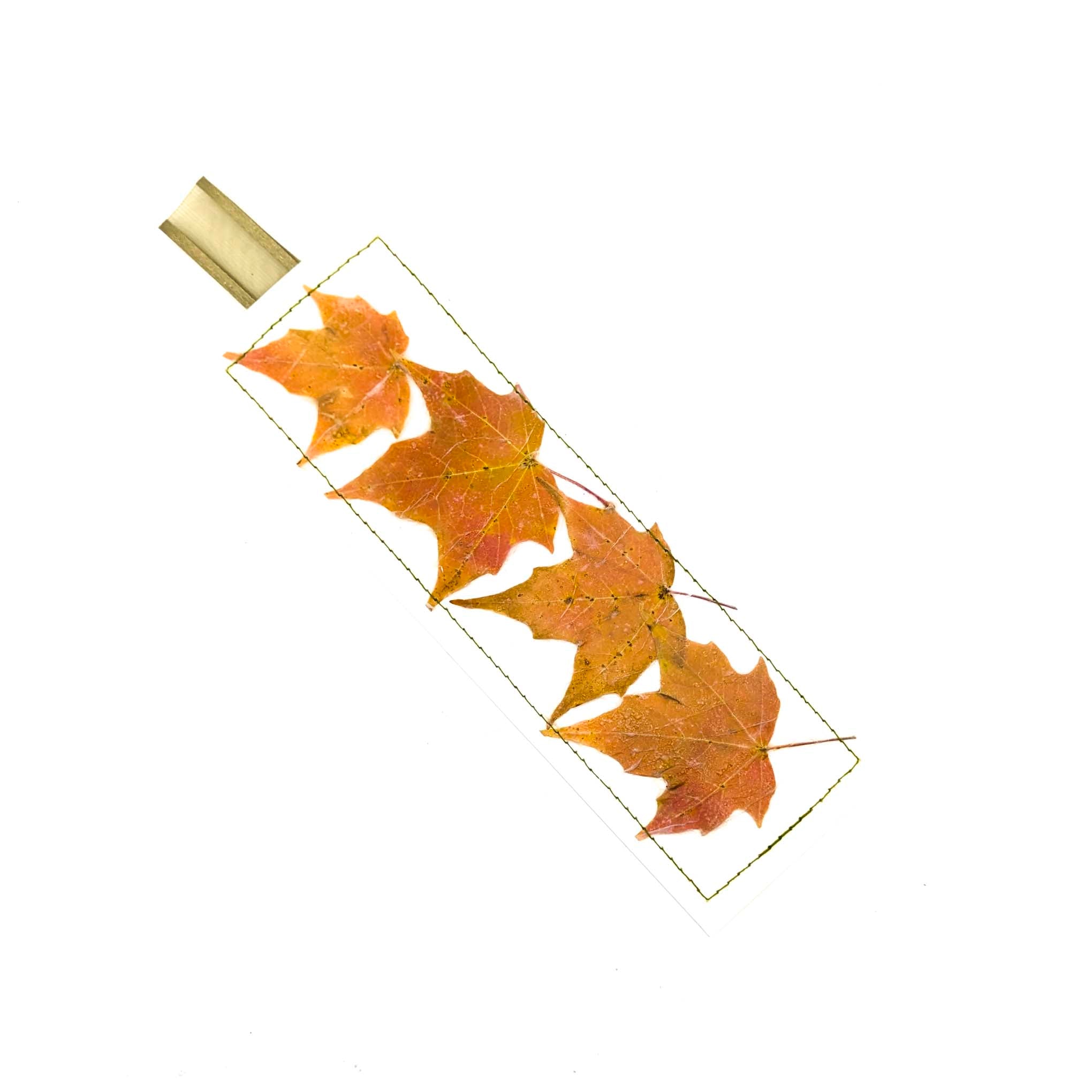 Pressed Flowers & Leaves Bookmarks