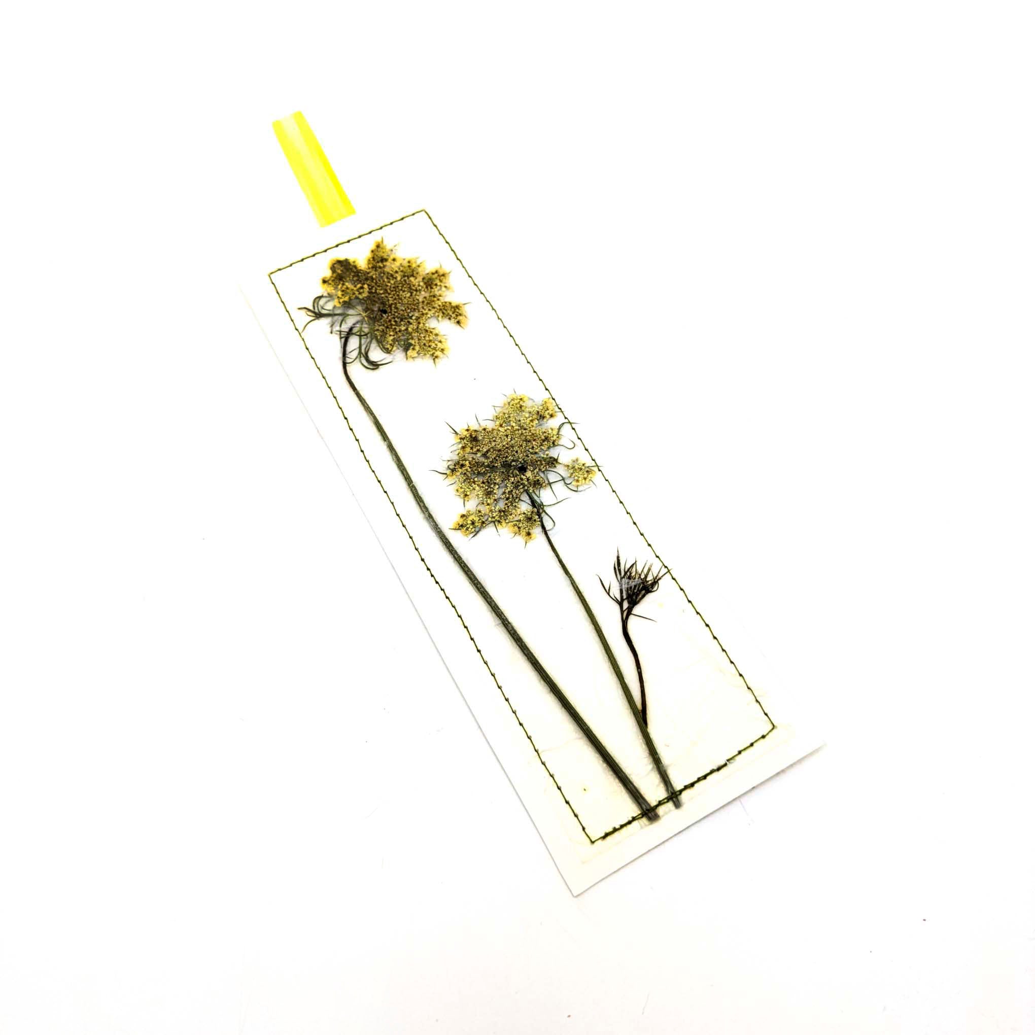 Pressed Flowers & Leaves Bookmarks