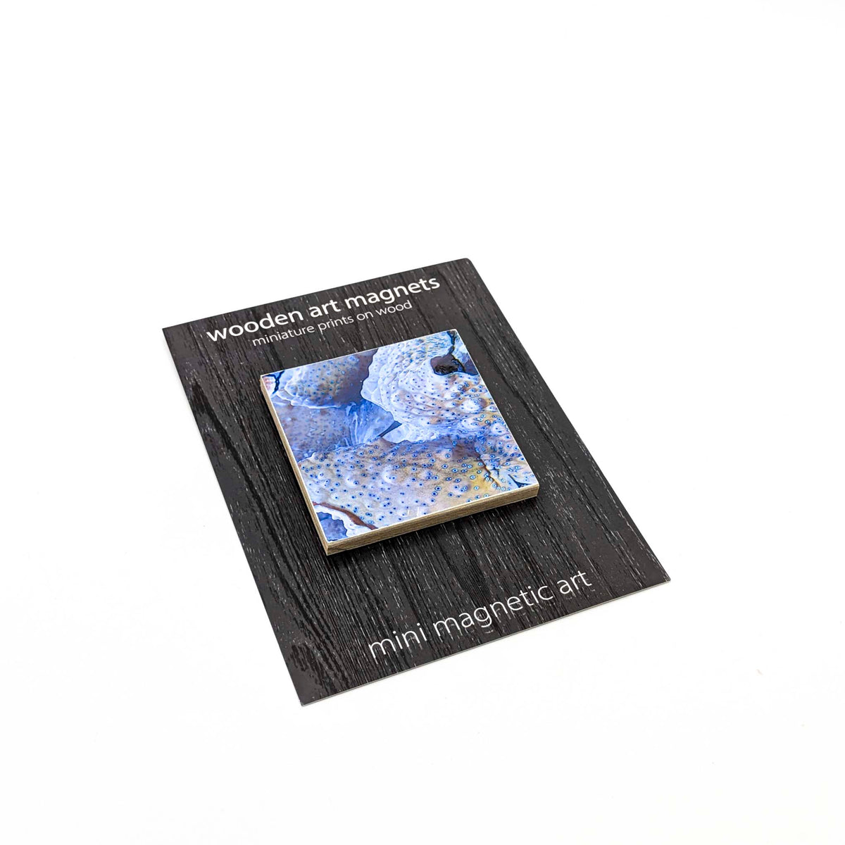 Sondra Dorn - Abstract - Art Magnet - Style 17 - VISUAL INDEX