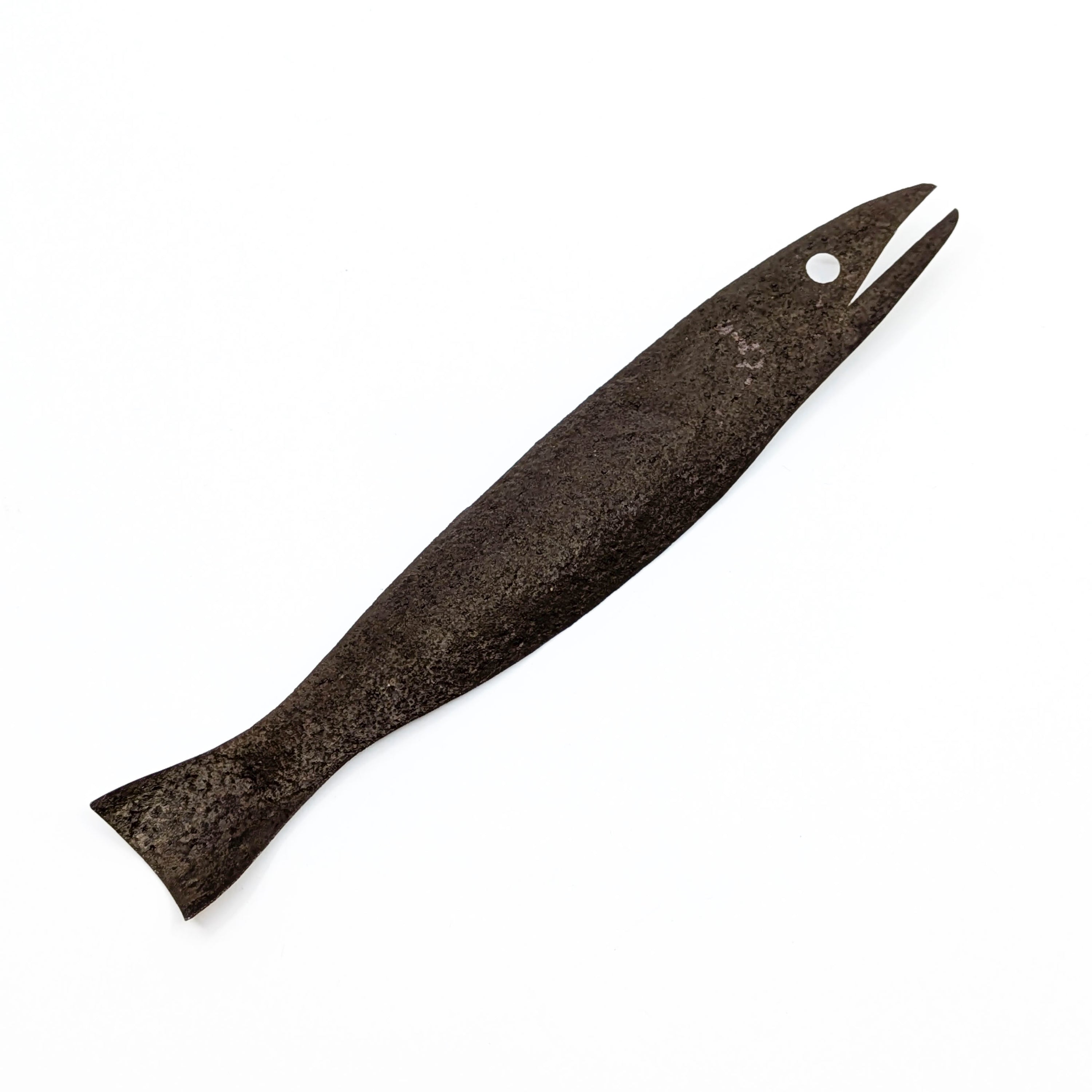 Magnetic Fish