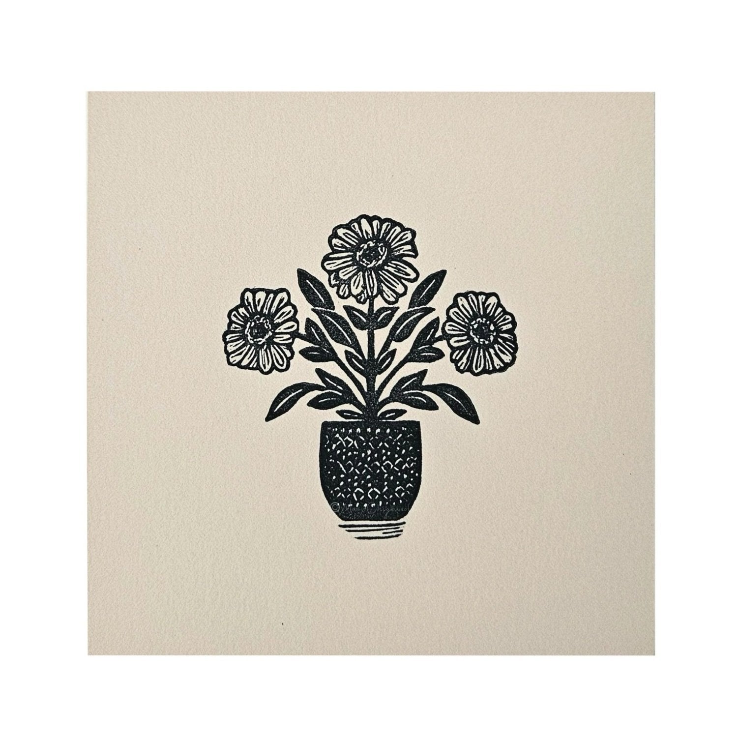 Zesty Zinnias