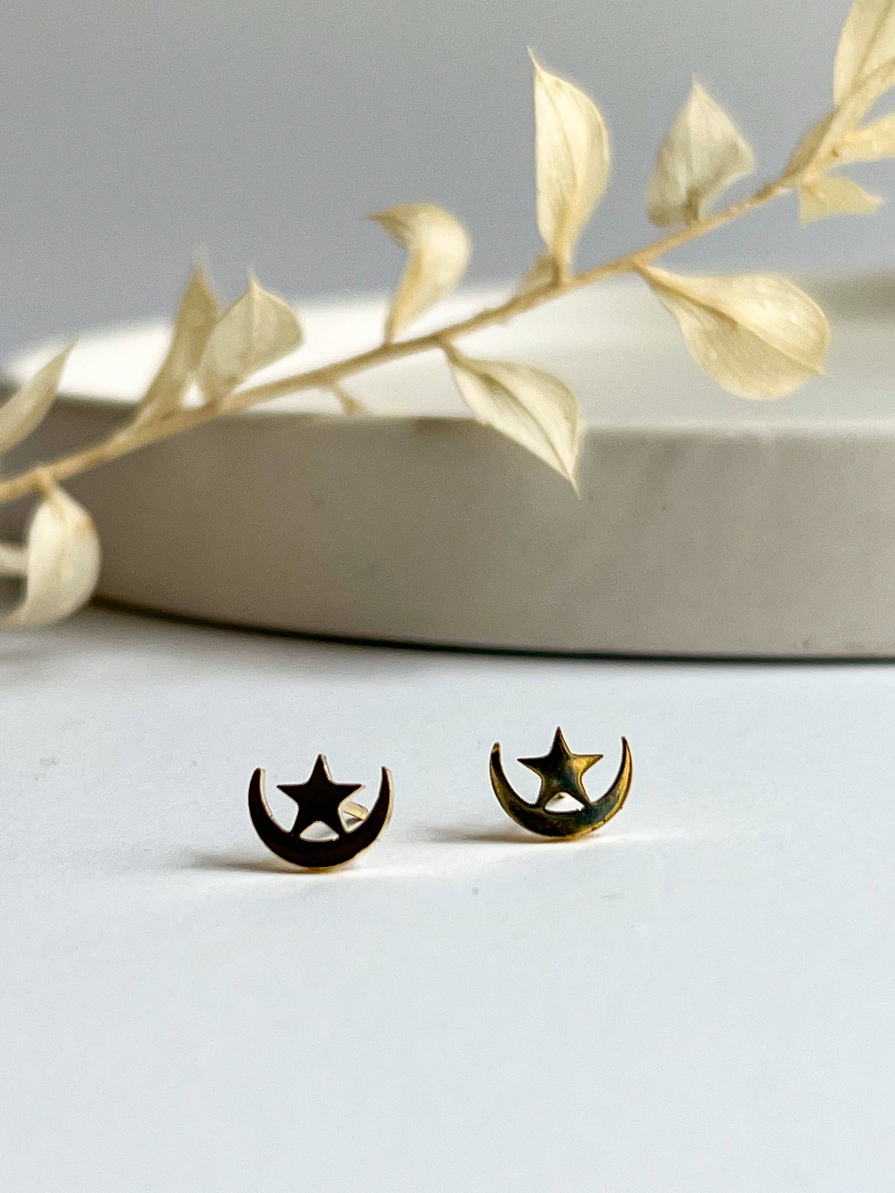 Moon and Star Stud Earring