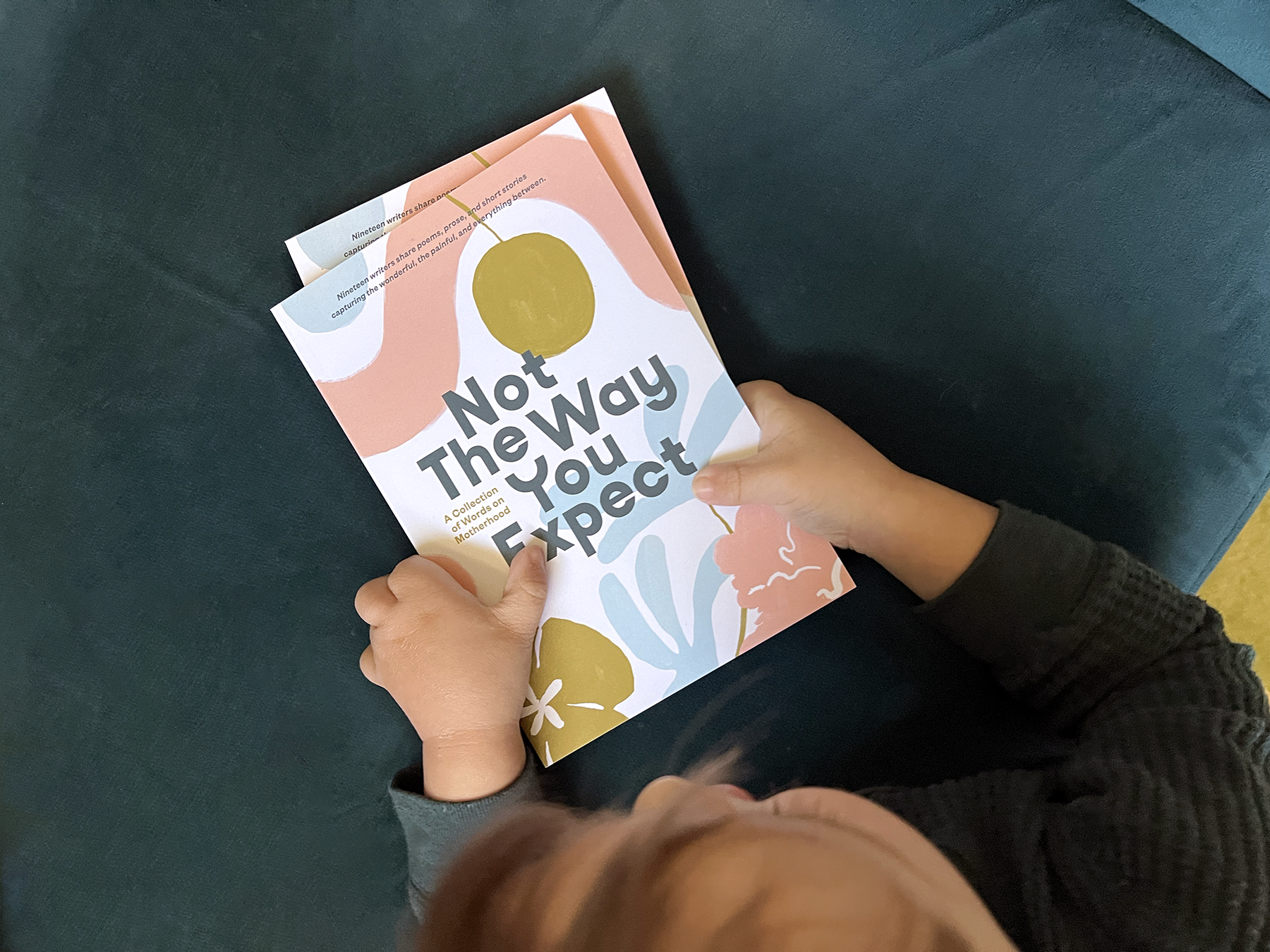 Not the Way You Expect Book, Voices on Motherhood