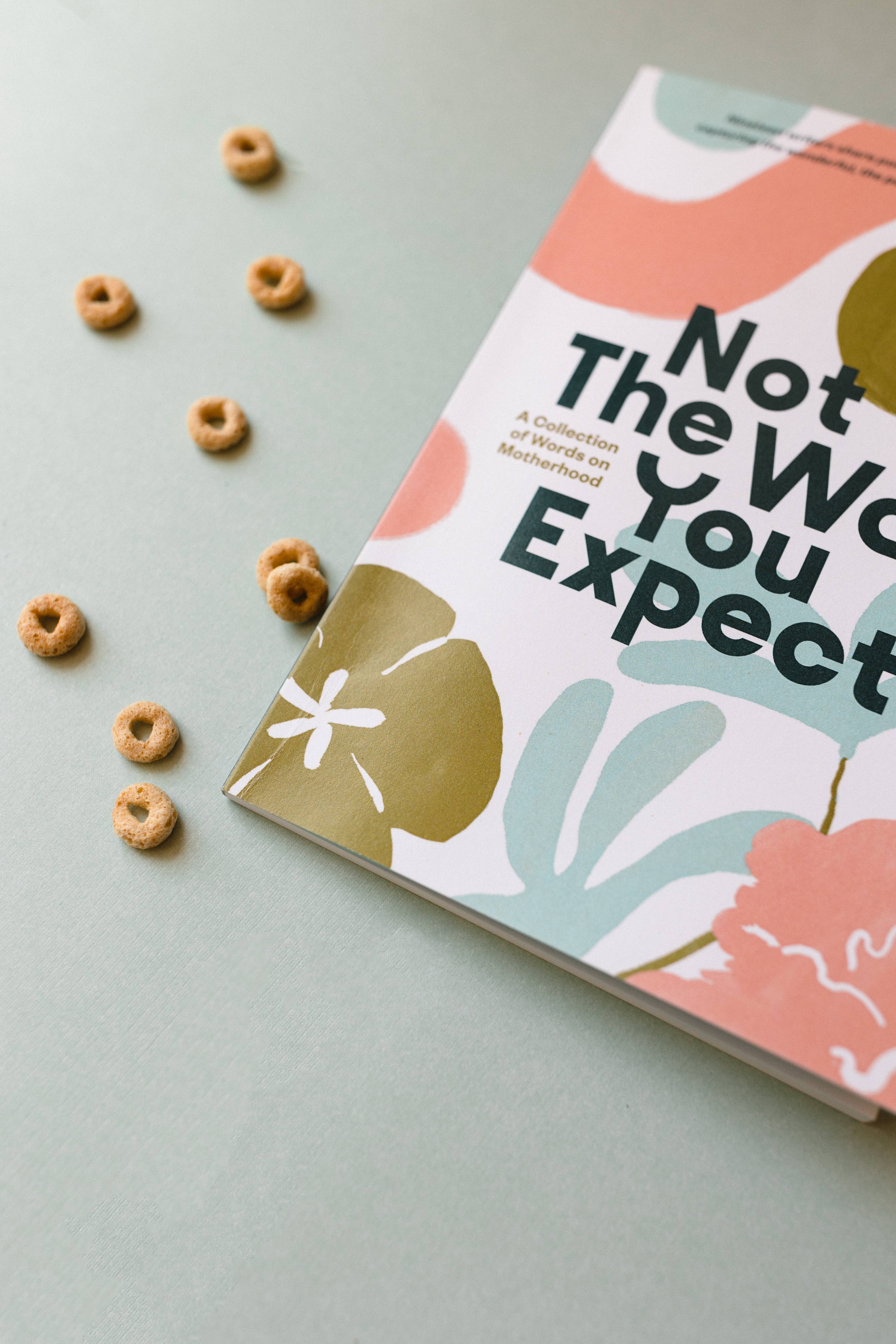 Not the Way You Expect Book, Voices on Motherhood