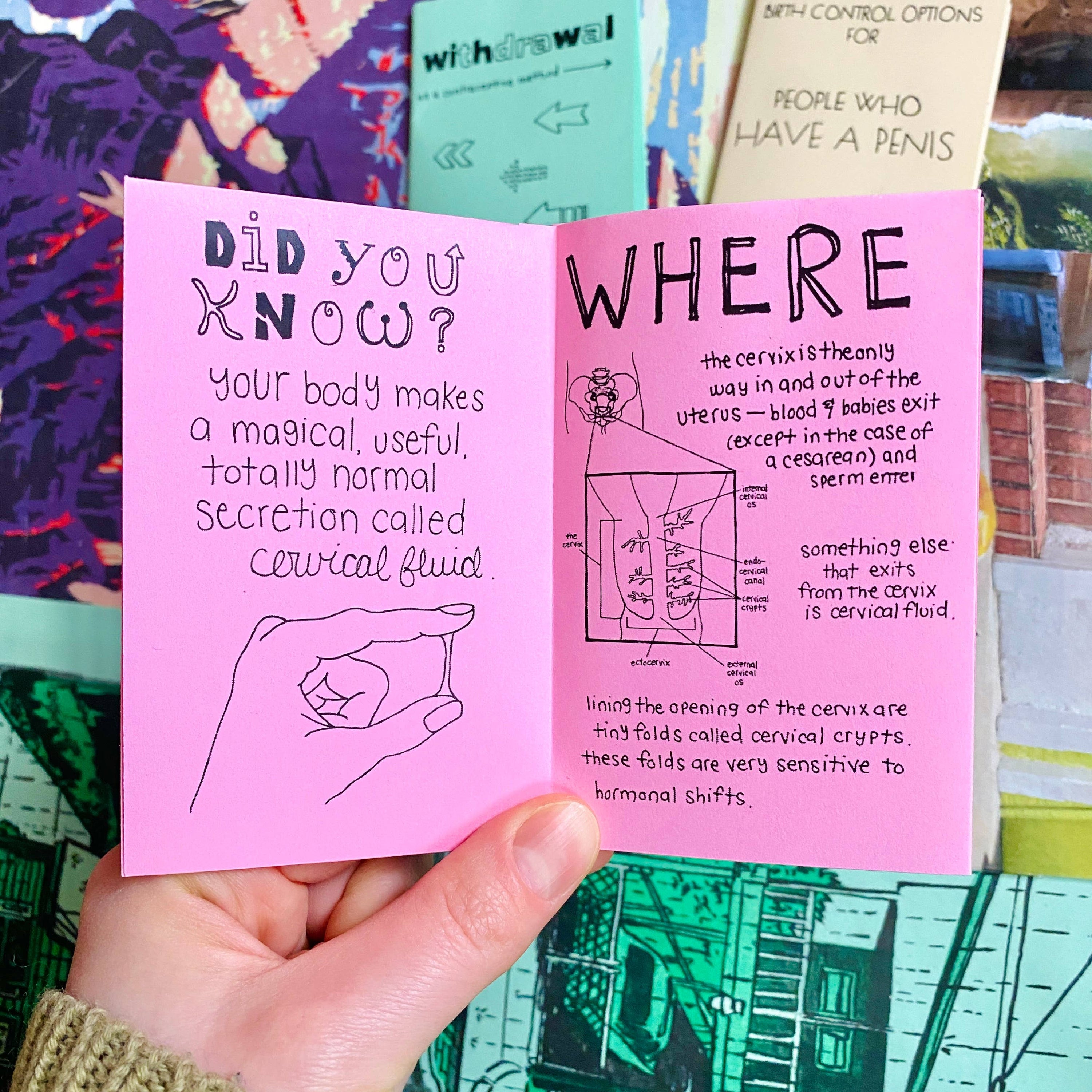 Birth Control Zine Bundle | Gender affirming sex education