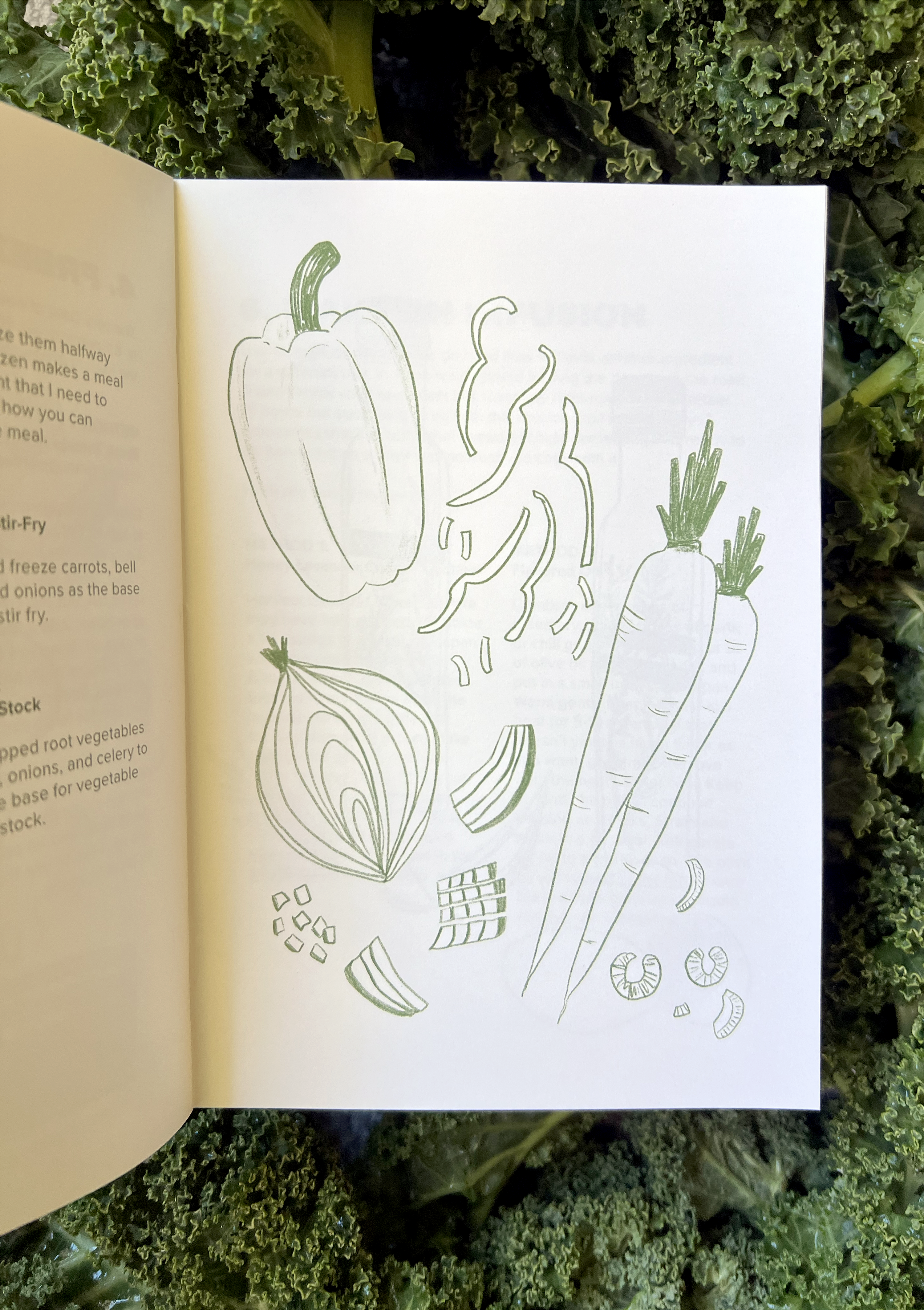 Minimalist Canning & Preserving Zine – Garden to Table
