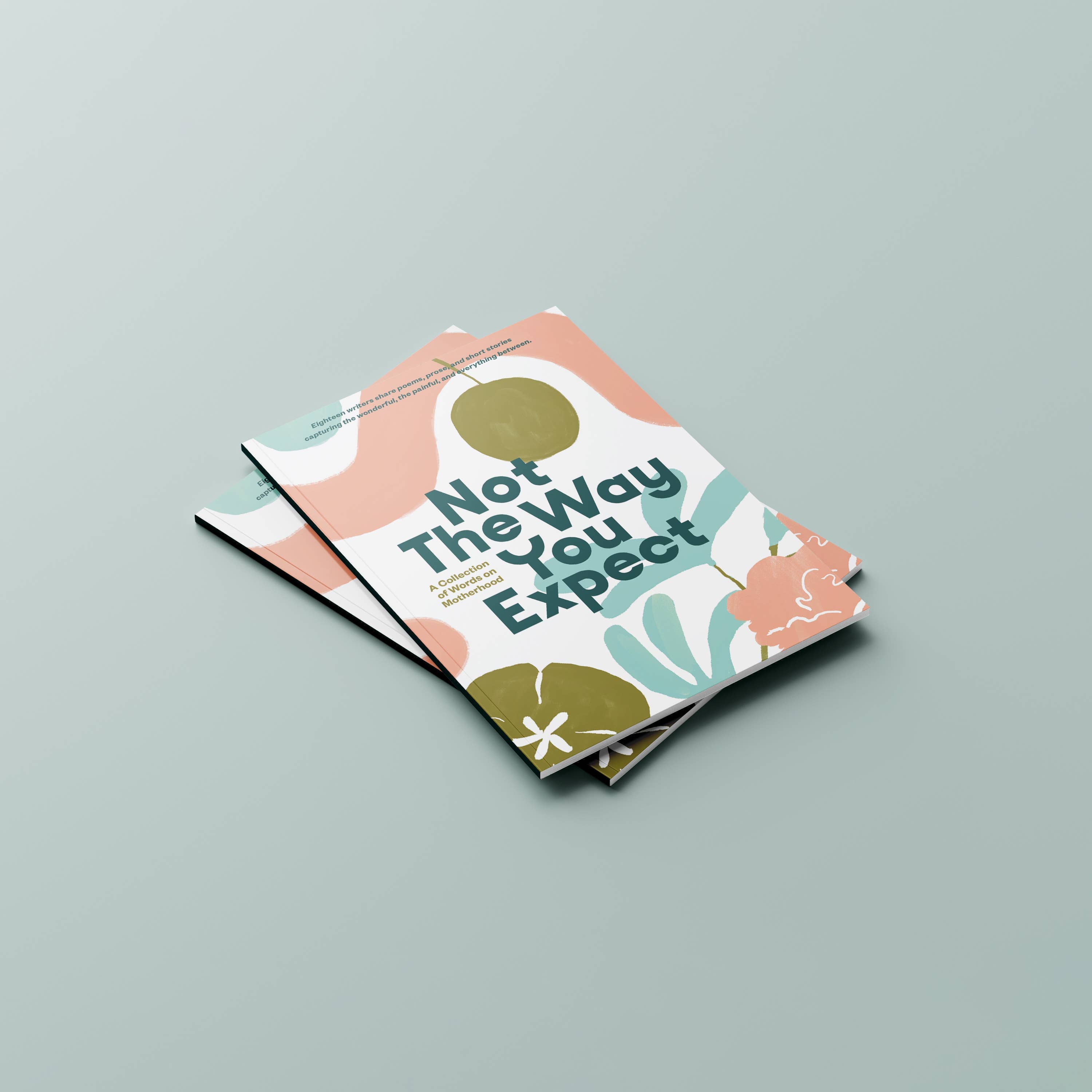Not the Way You Expect Book, Voices on Motherhood