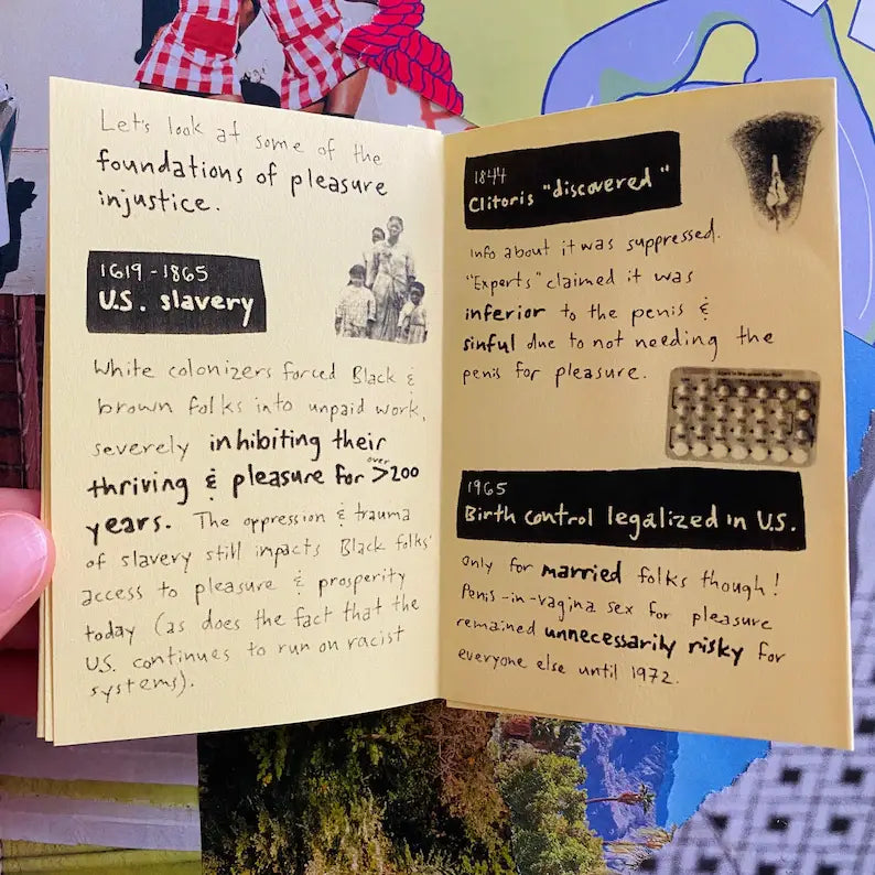 What is Pleasure Injustice? zine | Sex-positive intersectional feminist sex ed queer zine