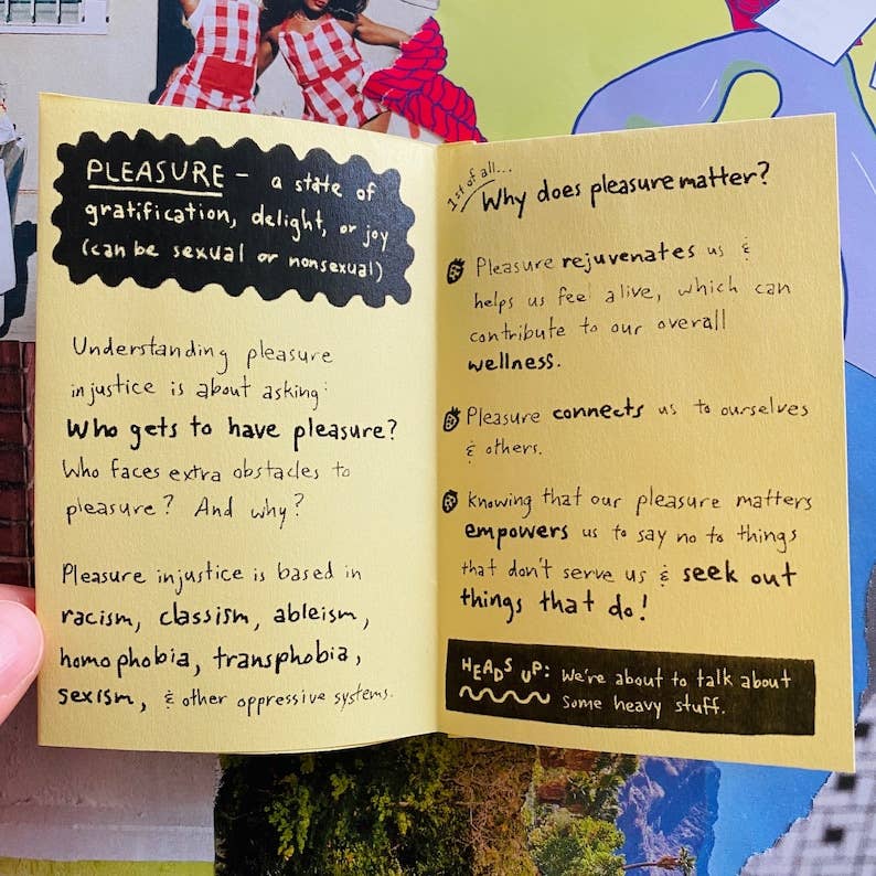 What is Pleasure Injustice? zine | Sex-positive intersectional feminist sex ed queer zine