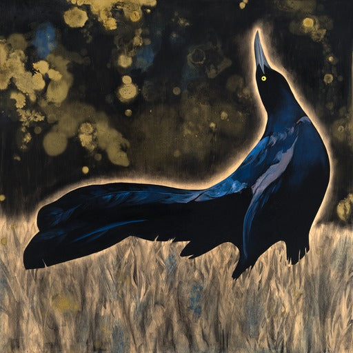 Eclipse Grackle- Prints