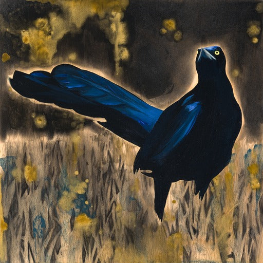 Eclipse Grackle- Prints