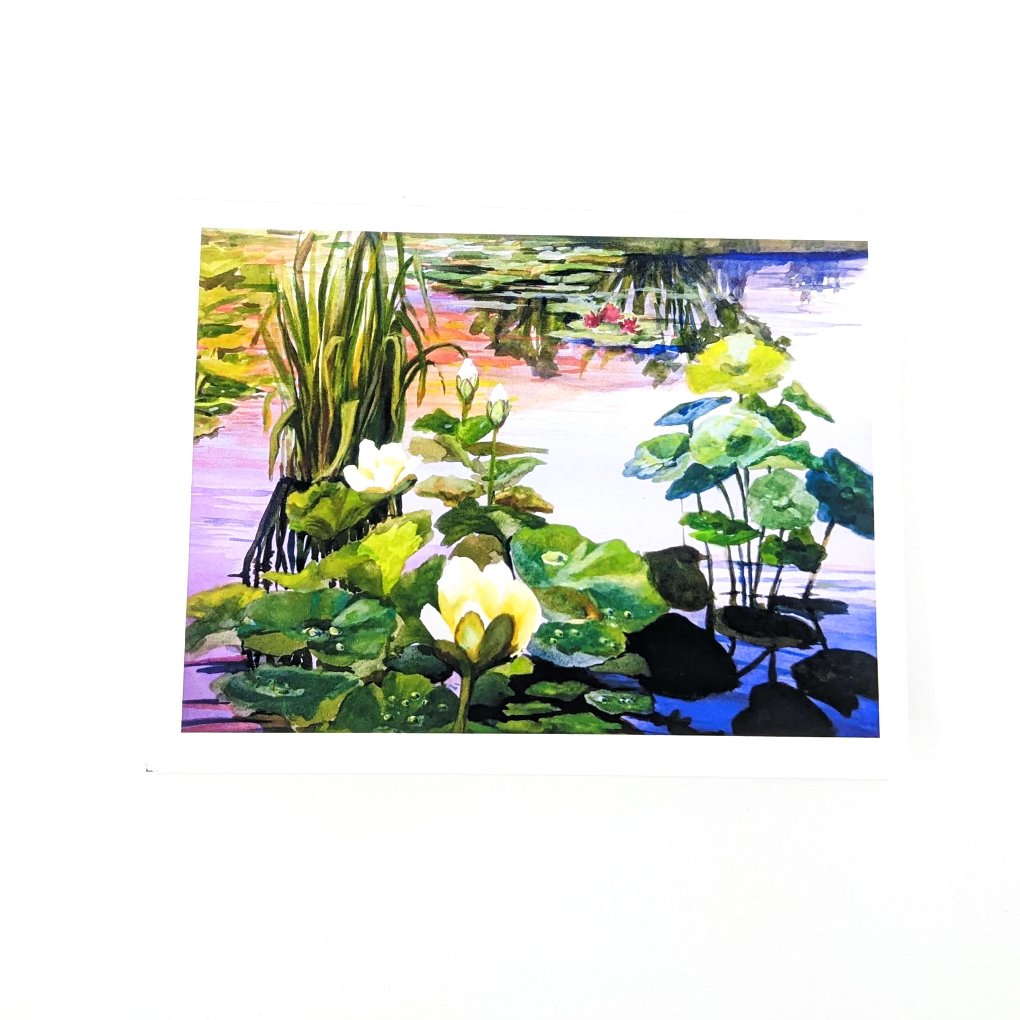 Lotus Pond Reflections- Greeting Card