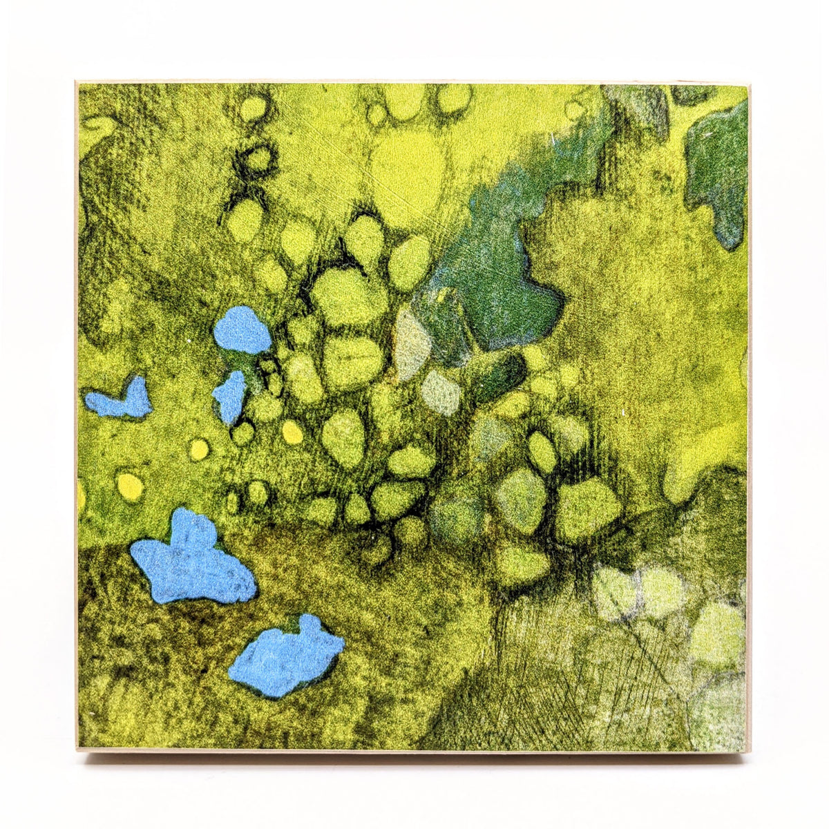 Sondra Dorn - Archival Prints on Birch Panel - Style 11 - VISUAL INDEX