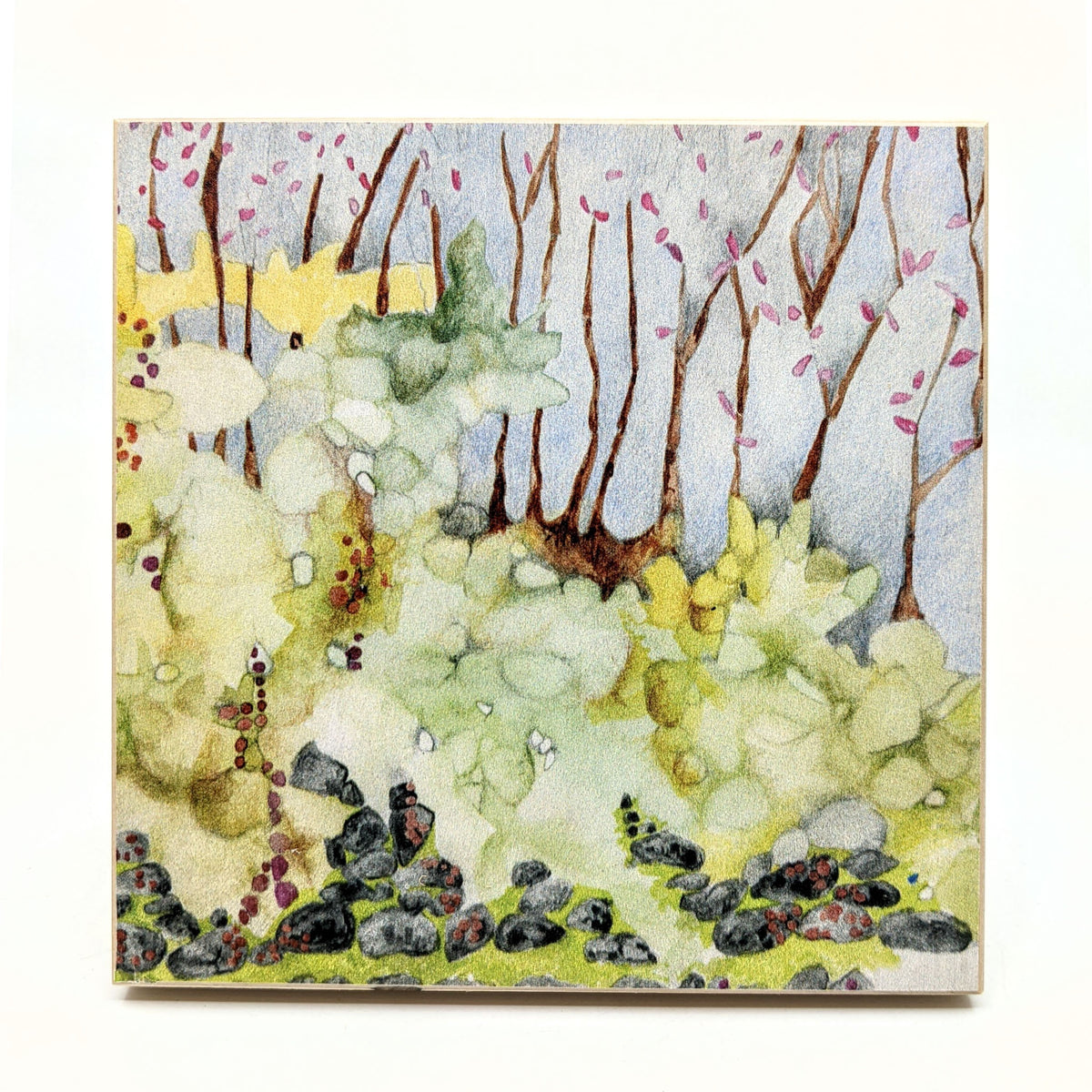 Sondra Dorn - Archival Prints on Birch Panel - Style 13 - VISUAL INDEX