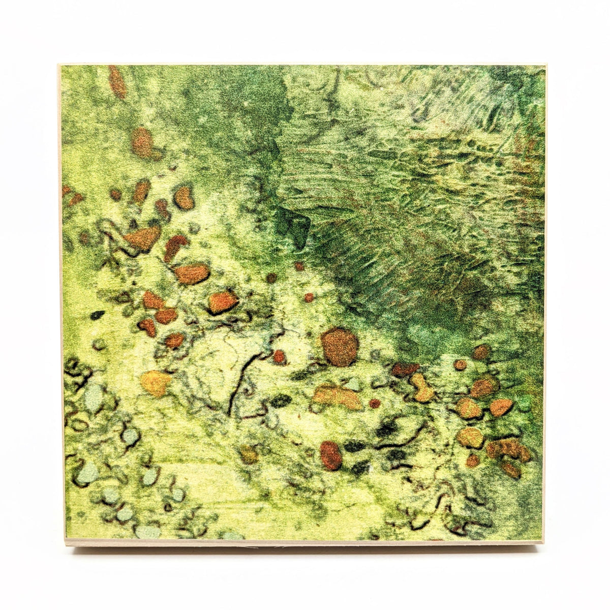 Sondra Dorn - Archival Prints on Birch Panel - Style 14 - VISUAL INDEX