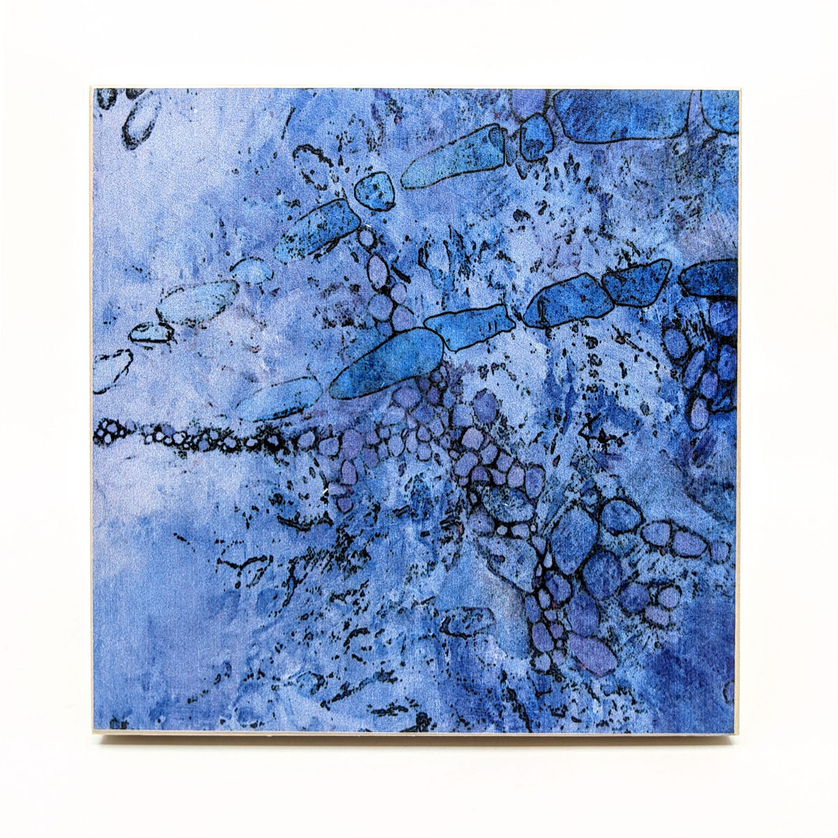 Sondra Dorn - Archival Prints on Birch Panel - Style 15 - VISUAL INDEX