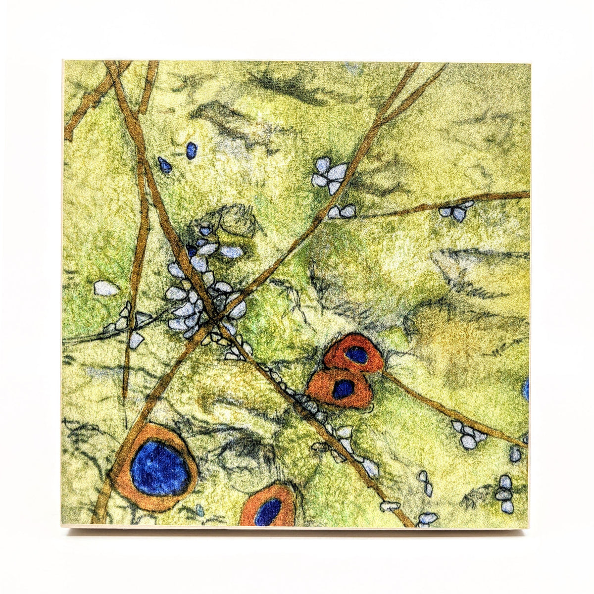 Sondra Dorn - Archival Prints on Birch Panel - Style 16 - VISUAL INDEX