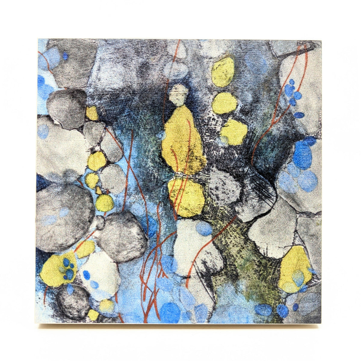 Sondra Dorn - Archival Prints on Birch Panel - Style 19 - VISUAL INDEX