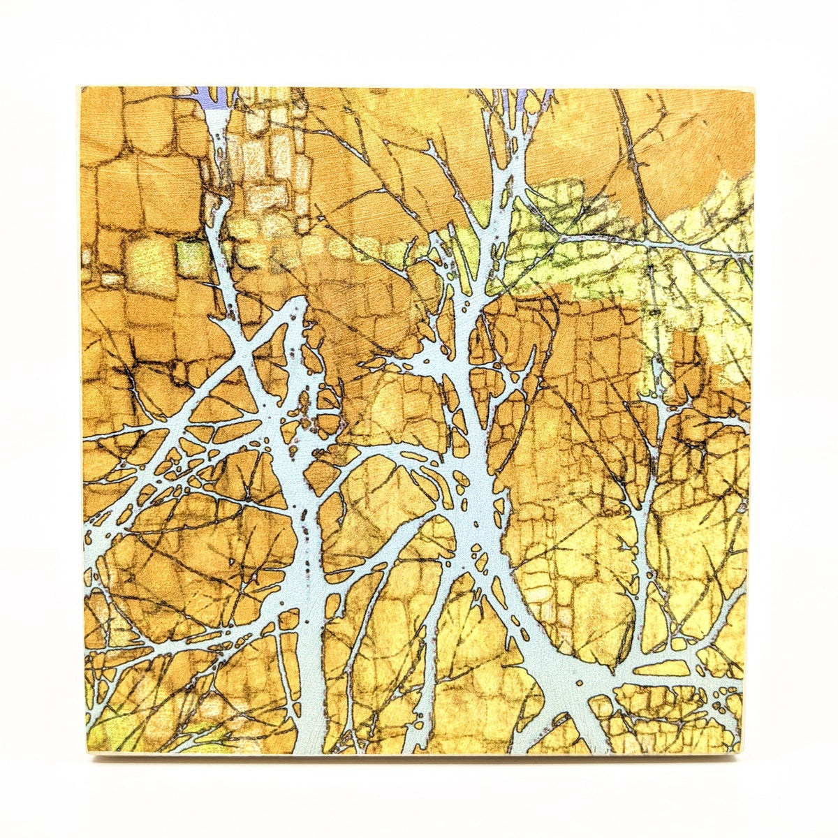 Sondra Dorn - Archival Prints on Birch Panel - Style 21 - VISUAL INDEX