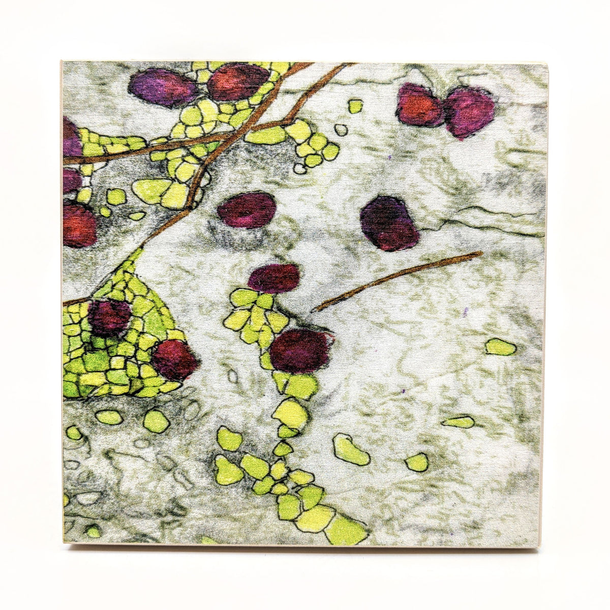 Sondra Dorn - Archival Prints on Birch Panel - Style 23 - VISUAL INDEX