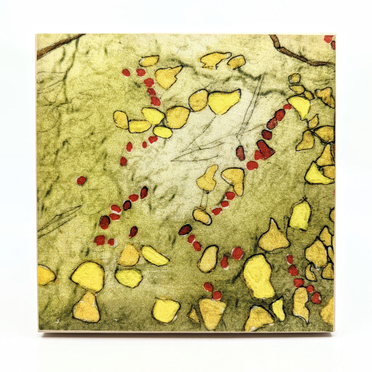 Sondra Dorn - Archival Prints on Birch Panel - Style 24 - VISUAL INDEX