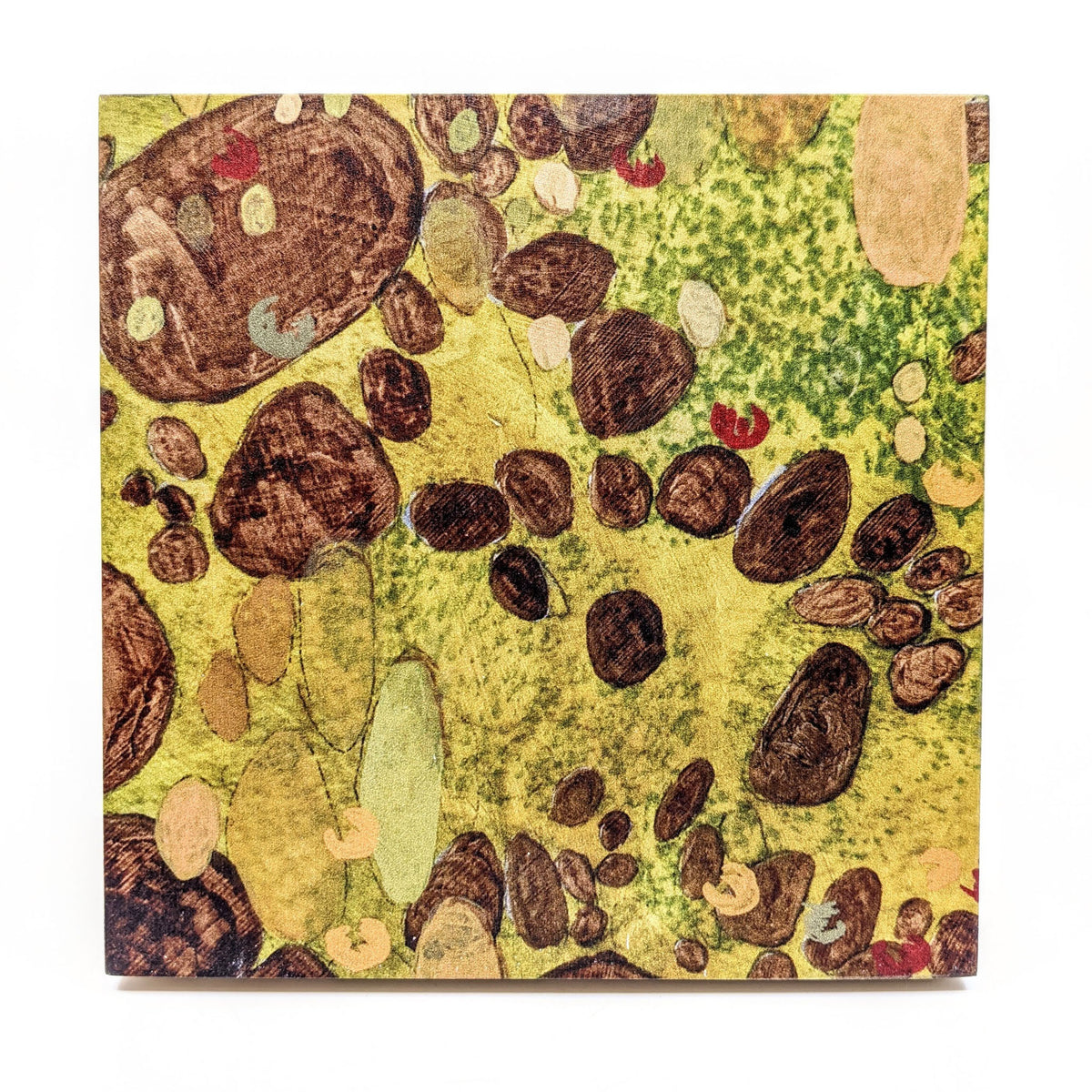 Sondra Dorn - Archival Prints on Birch Panel - Style 26 - VISUAL INDEX