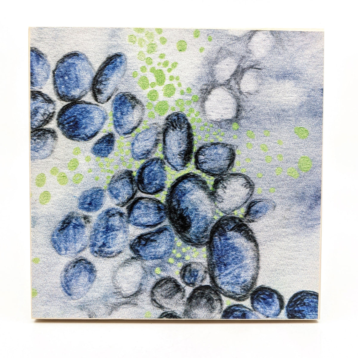 Sondra Dorn - Archival Prints on Birch Panel - Style 27 - VISUAL INDEX