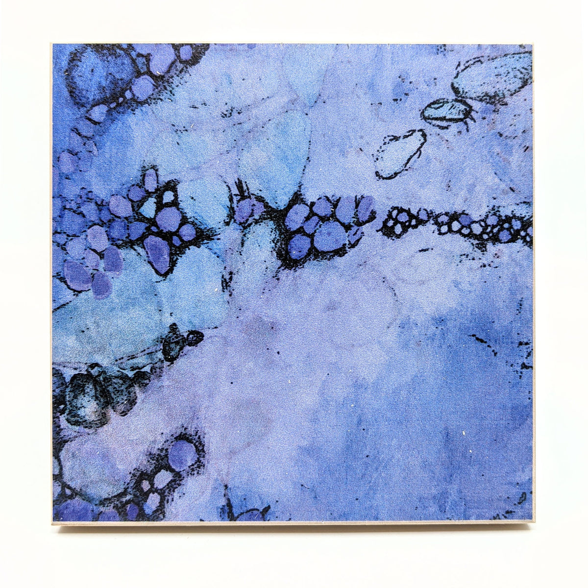 Sondra Dorn - Archival Prints on Birch Panel - Style 29 - VISUAL INDEX