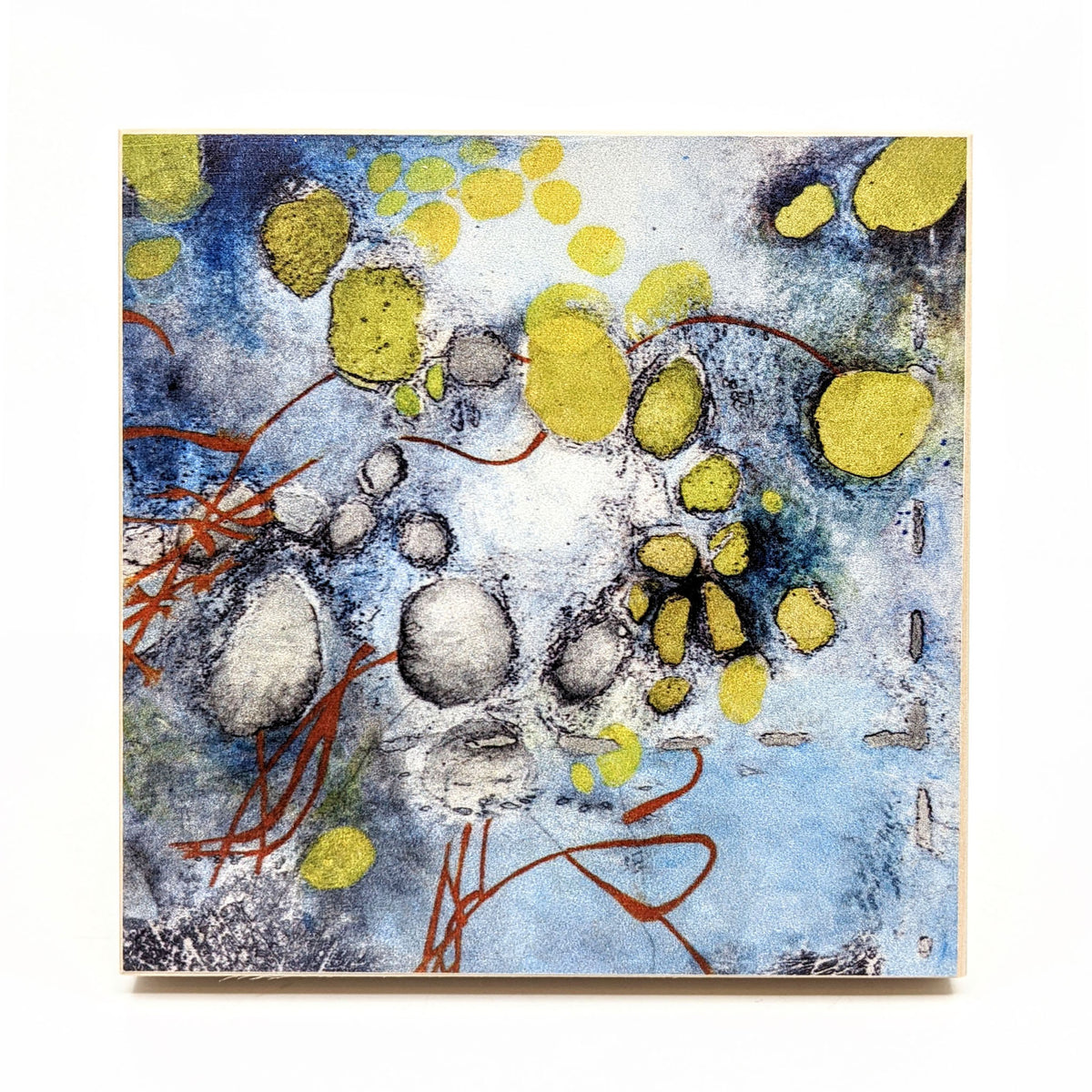 Sondra Dorn - Archival Prints on Birch Panel - Style 3 - VISUAL INDEX